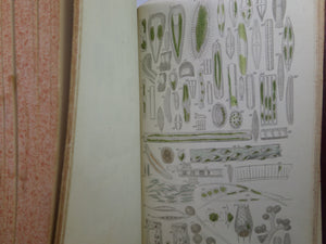 A HISTORY OF INFUSORIAL ANIMALCULES LIVING AND FOSSIL BY ANDREW PRITCHARD 1852