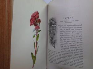 FAMILIAR WILD FLOWERS BY F. EDWARD HULME CA.1880 LEATHER BOUND, COLOUR ILLUSTRATED