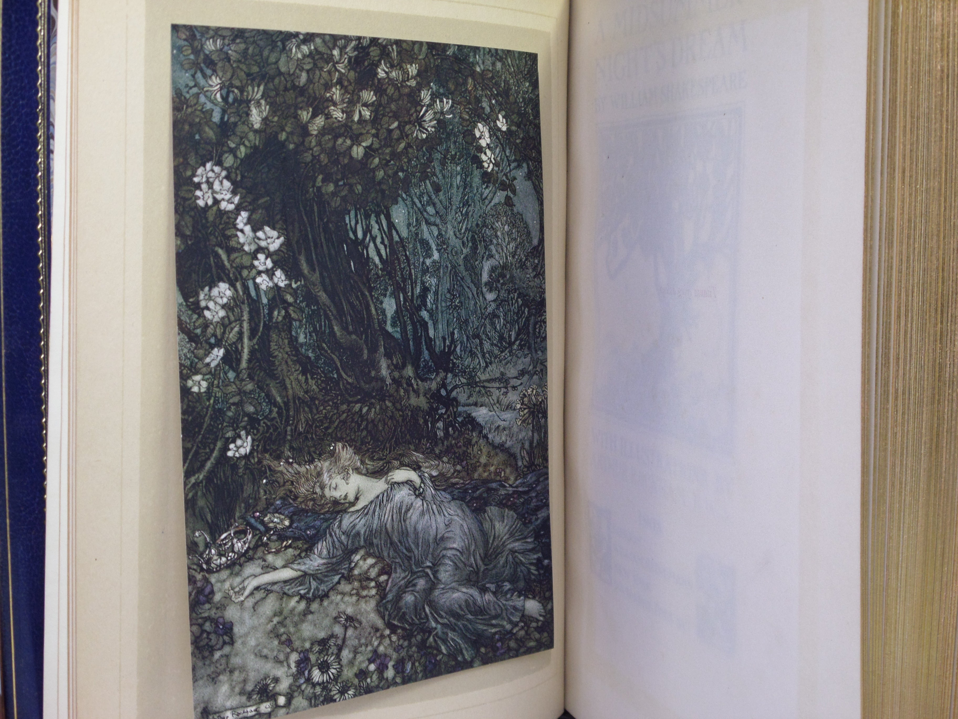 A MIDSUMMER-NIGHT'S DREAM 1908 SHAKESPEARE, BAYNTUN RIVIERE BINDING RACKHAM ILLS