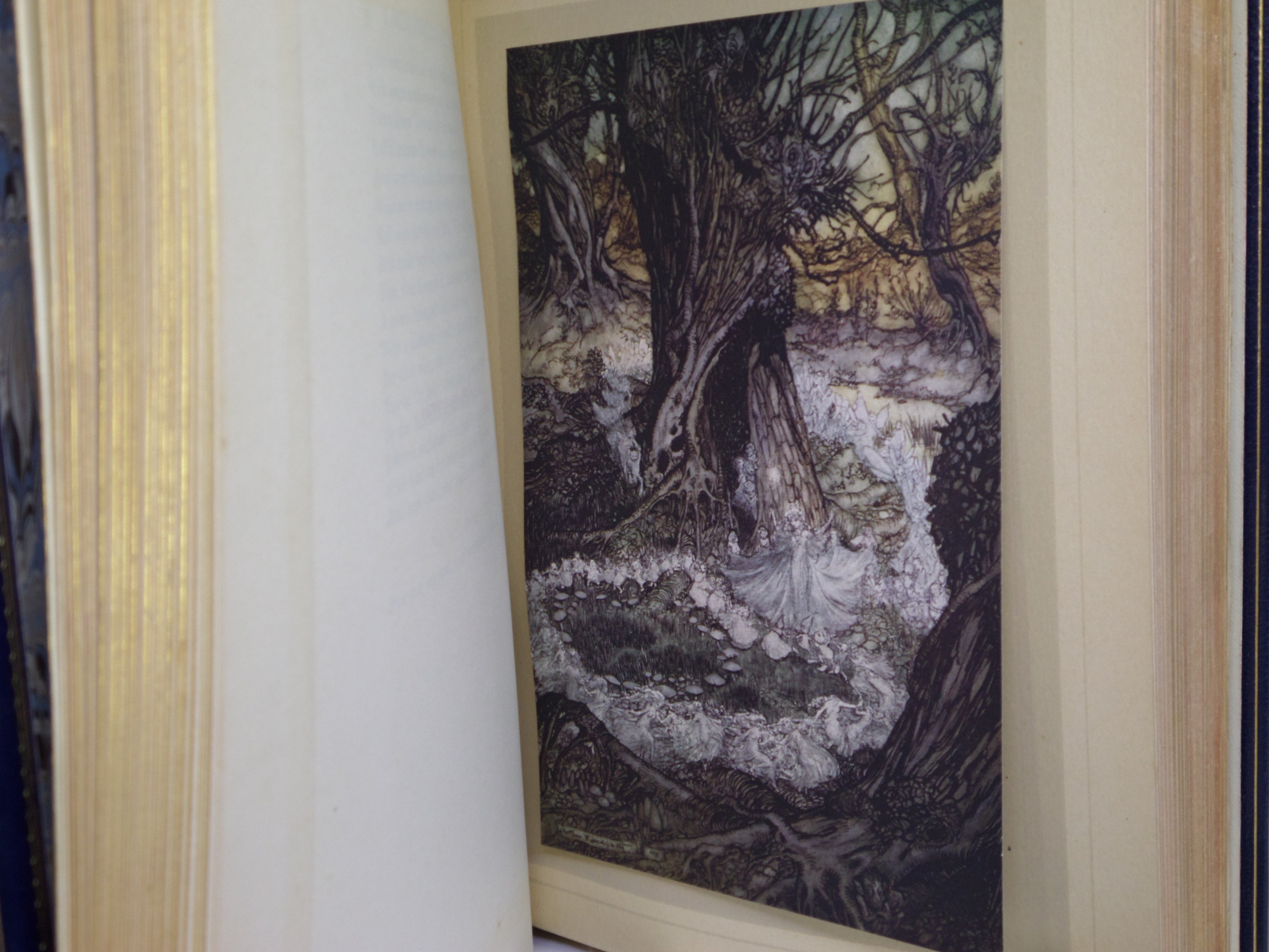 A MIDSUMMER-NIGHT'S DREAM 1908 SHAKESPEARE, BAYNTUN RIVIERE BINDING RACKHAM ILLS