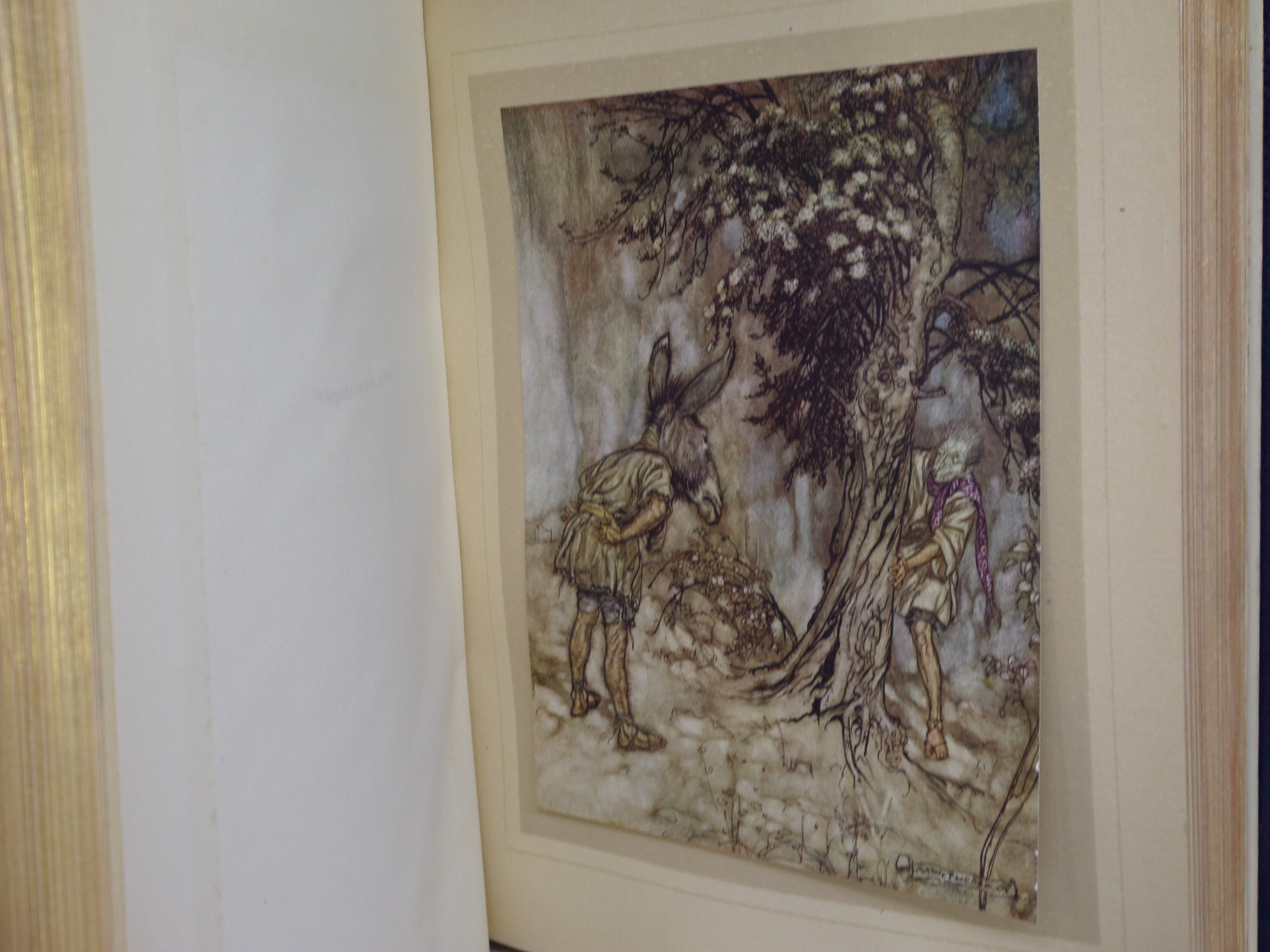 A MIDSUMMER-NIGHT'S DREAM 1908 SHAKESPEARE, BAYNTUN RIVIERE BINDING RACKHAM ILLS