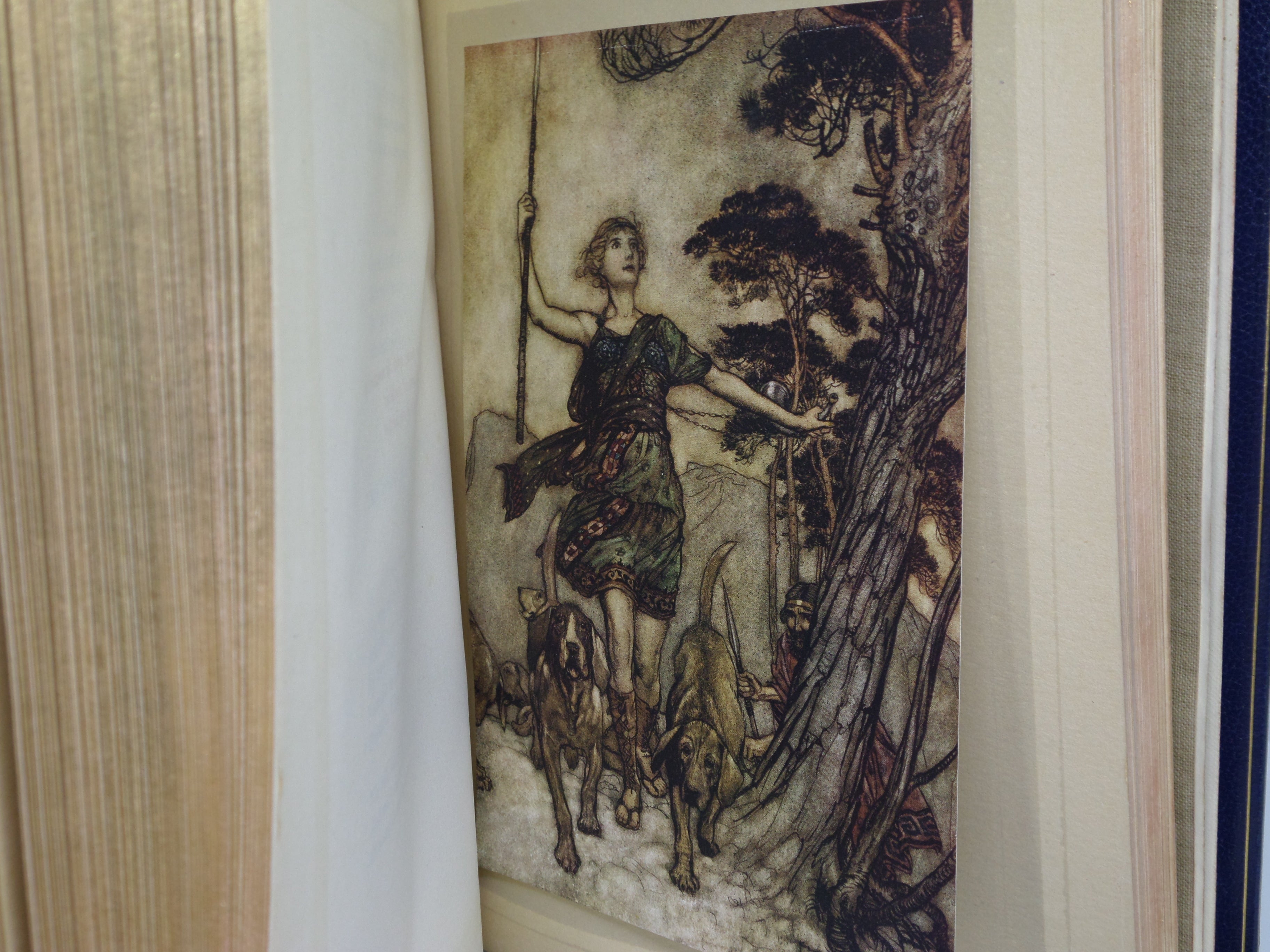 A MIDSUMMER-NIGHT'S DREAM 1908 SHAKESPEARE, BAYNTUN RIVIERE BINDING RACKHAM ILLS