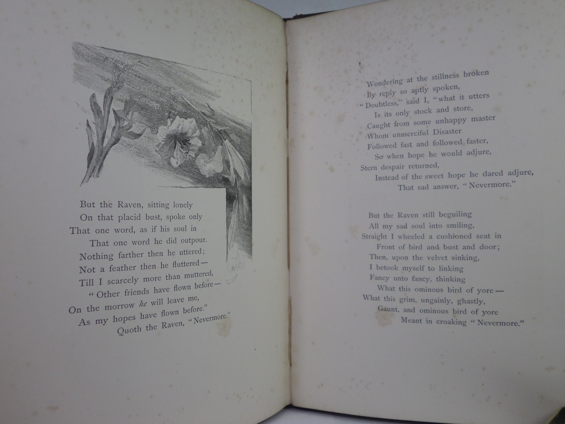 THE RAVEN BY EDGAR ALLAN POE CA.1885 ILLUSTRATED BY W. L. TAYLOR