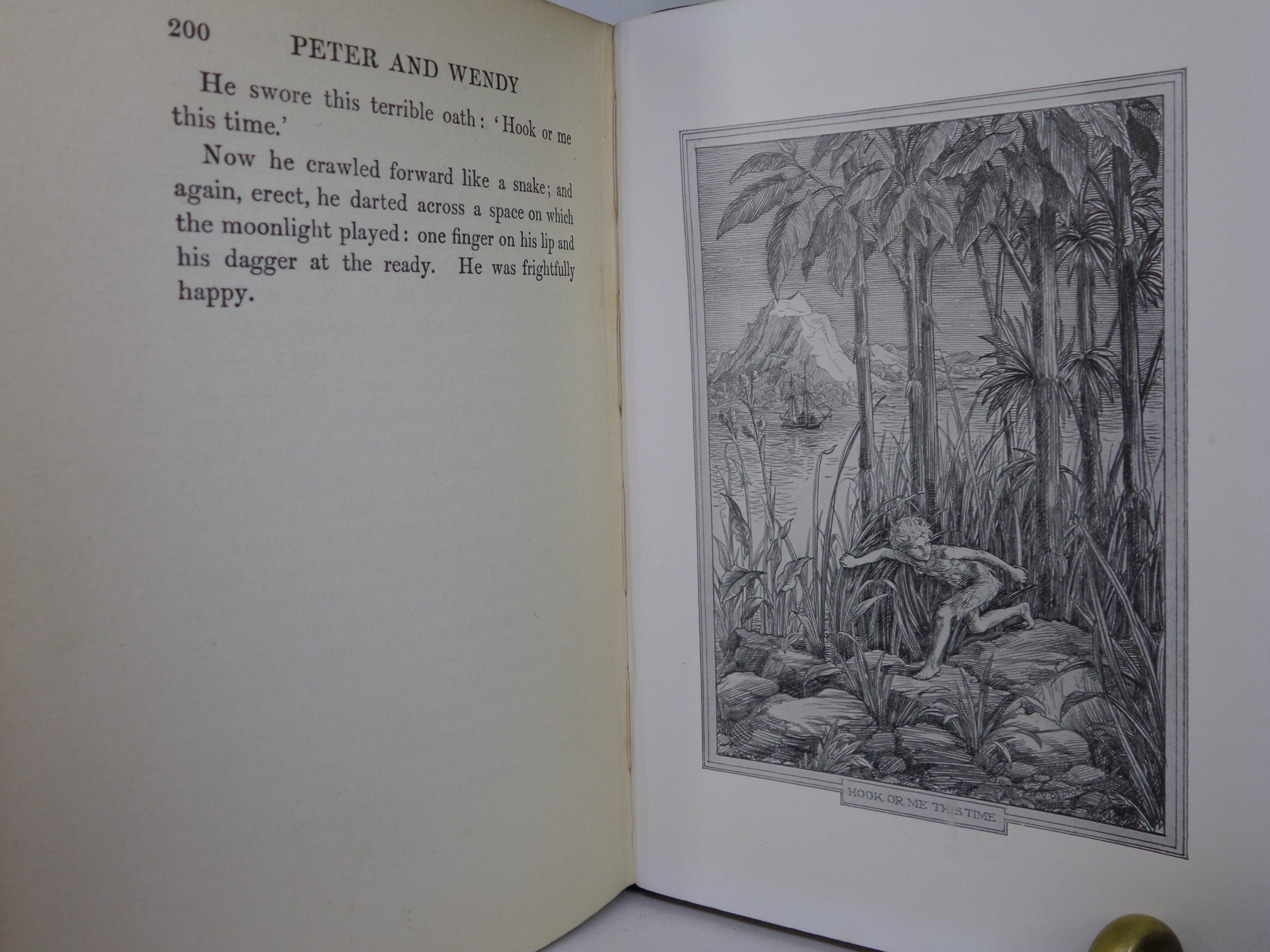 PETER AND WENDY BY J.M. BARRIE ILLUSTRATED BY F.D. BEDFORD 1911 FIRST EDITION