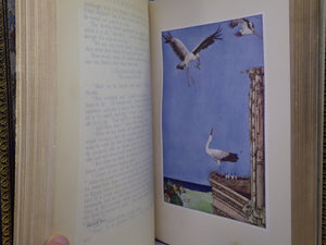 FAIRY TALES BY HANS CHRISTIAN ANDERSEN 1916 FINE BINDING, HARRY CLARKE ILLS.