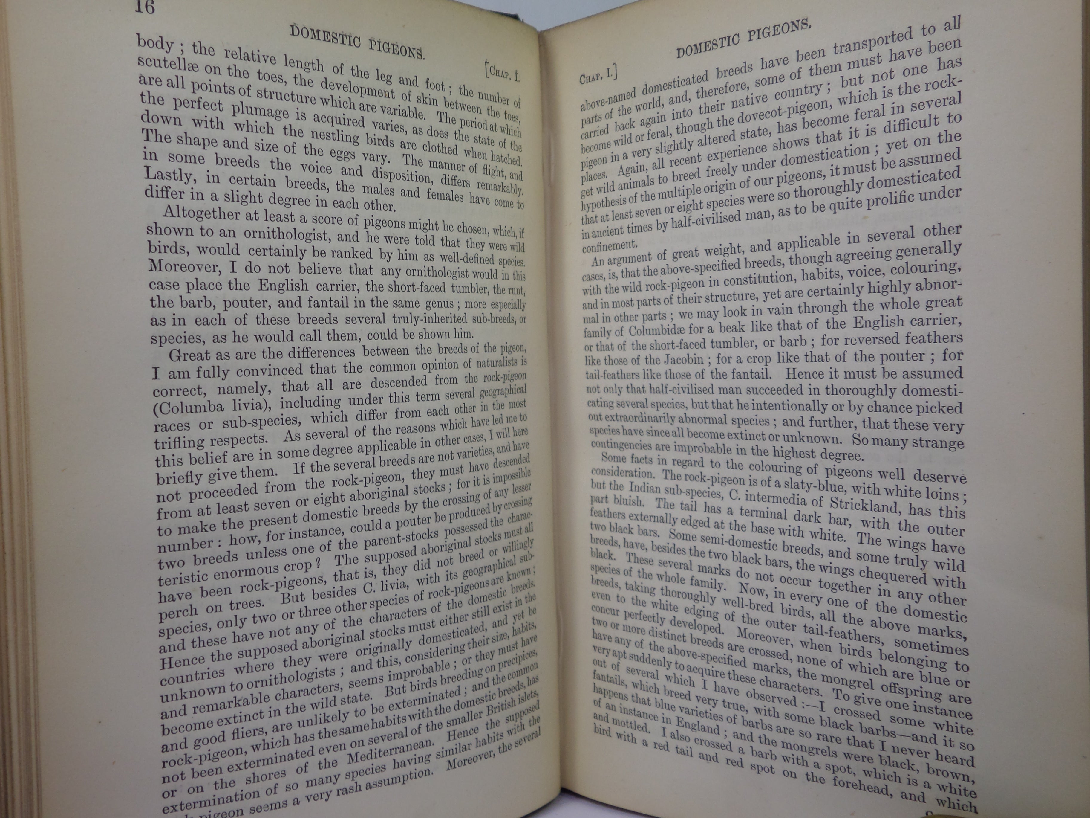 THE ORIGIN OF SPECIES BY MEANS OF NATURAL SELECTION BY CHARLES DARWIN 1899