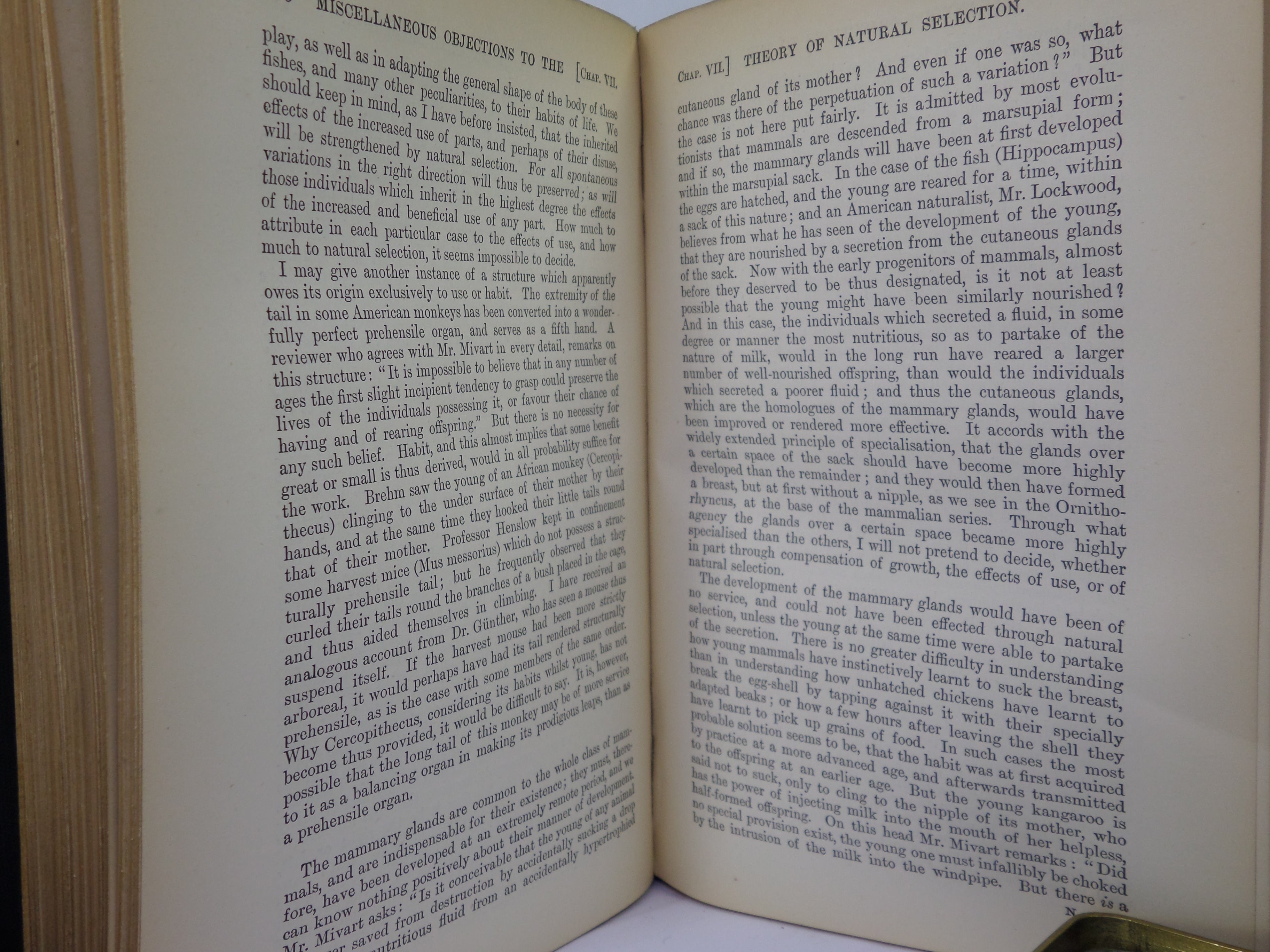 THE ORIGIN OF SPECIES BY MEANS OF NATURAL SELECTION BY CHARLES DARWIN 1899