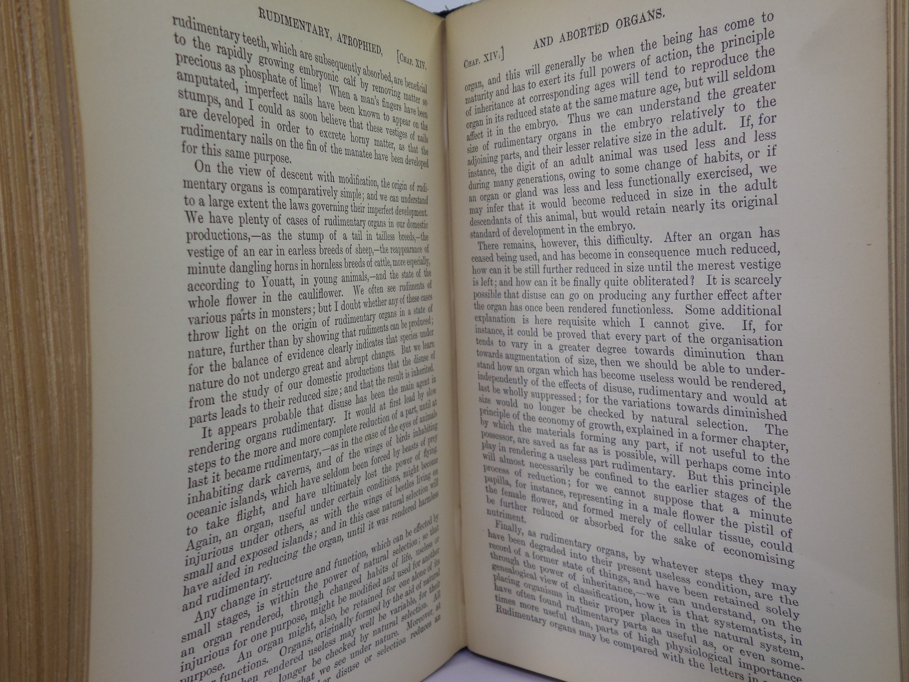 THE ORIGIN OF SPECIES BY MEANS OF NATURAL SELECTION BY CHARLES DARWIN 1899