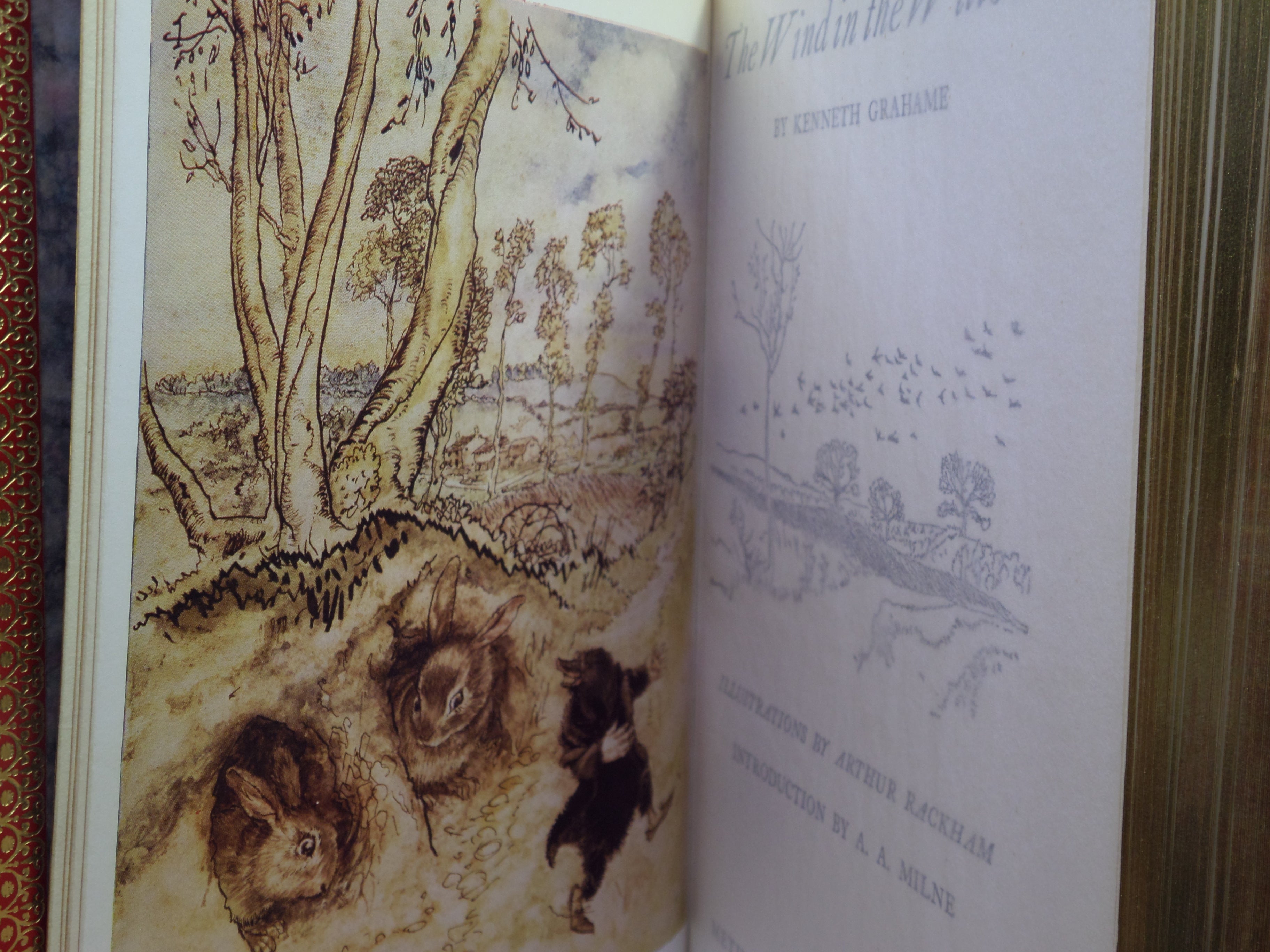 THE WIND IN THE WILLOWS BY KENNETH GRAHAME 1960 ARTHUR RACKHAM ILLUSTRATIONS