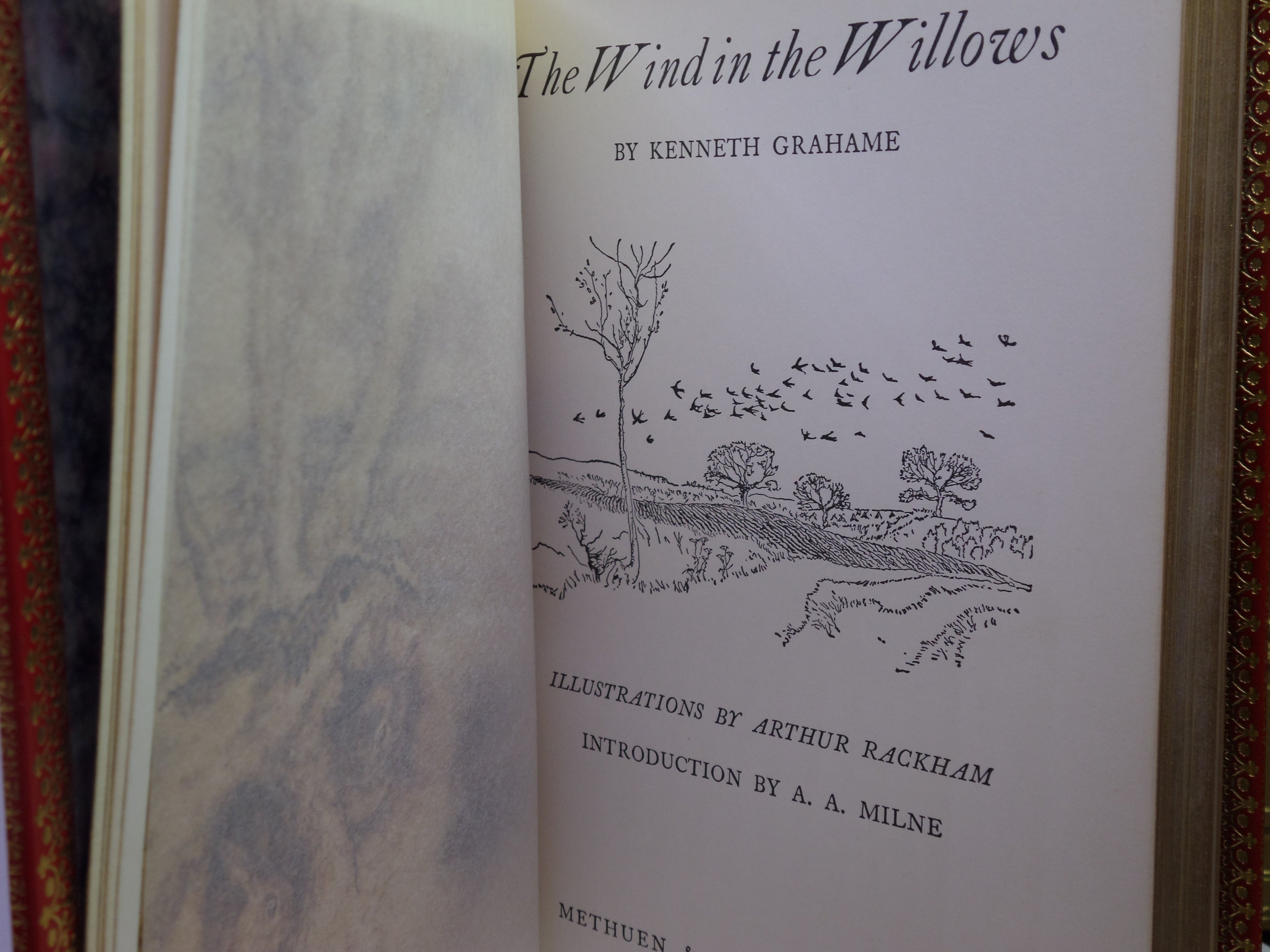THE WIND IN THE WILLOWS BY KENNETH GRAHAME 1960 ARTHUR RACKHAM ILLUSTRATIONS