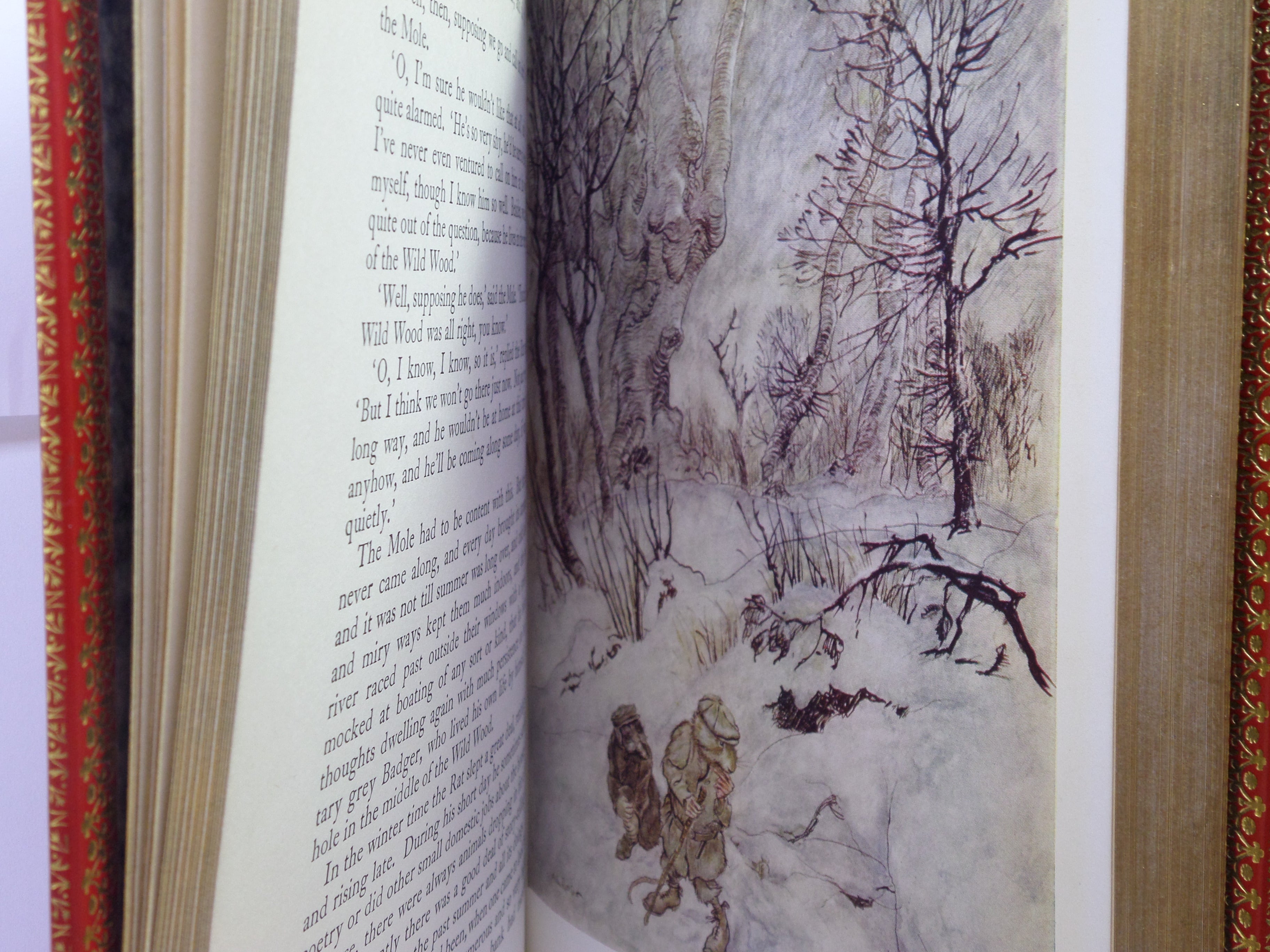 THE WIND IN THE WILLOWS BY KENNETH GRAHAME 1960 ARTHUR RACKHAM ILLUSTRATIONS