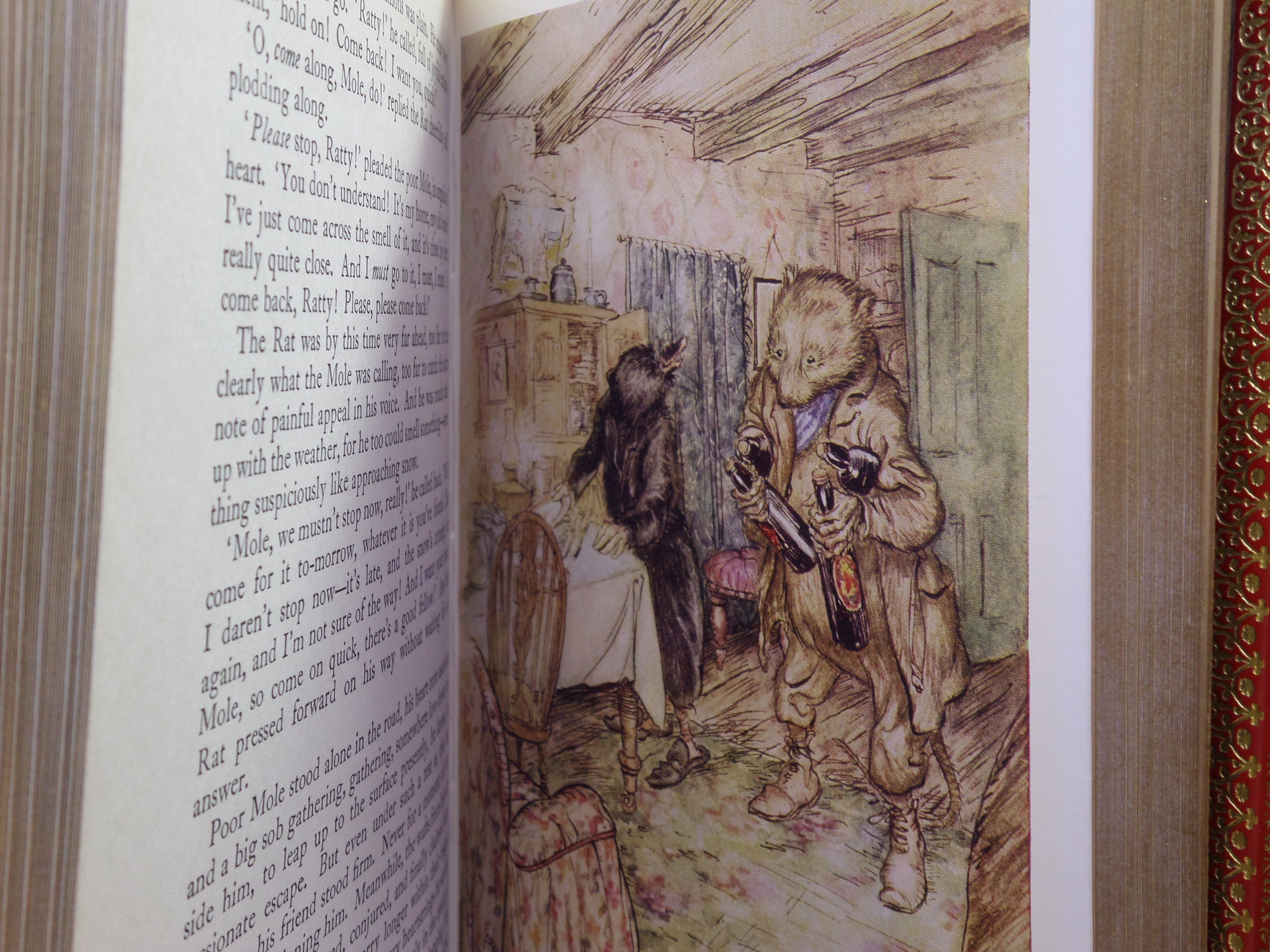 THE WIND IN THE WILLOWS BY KENNETH GRAHAME 1960 ARTHUR RACKHAM ILLUSTRATIONS
