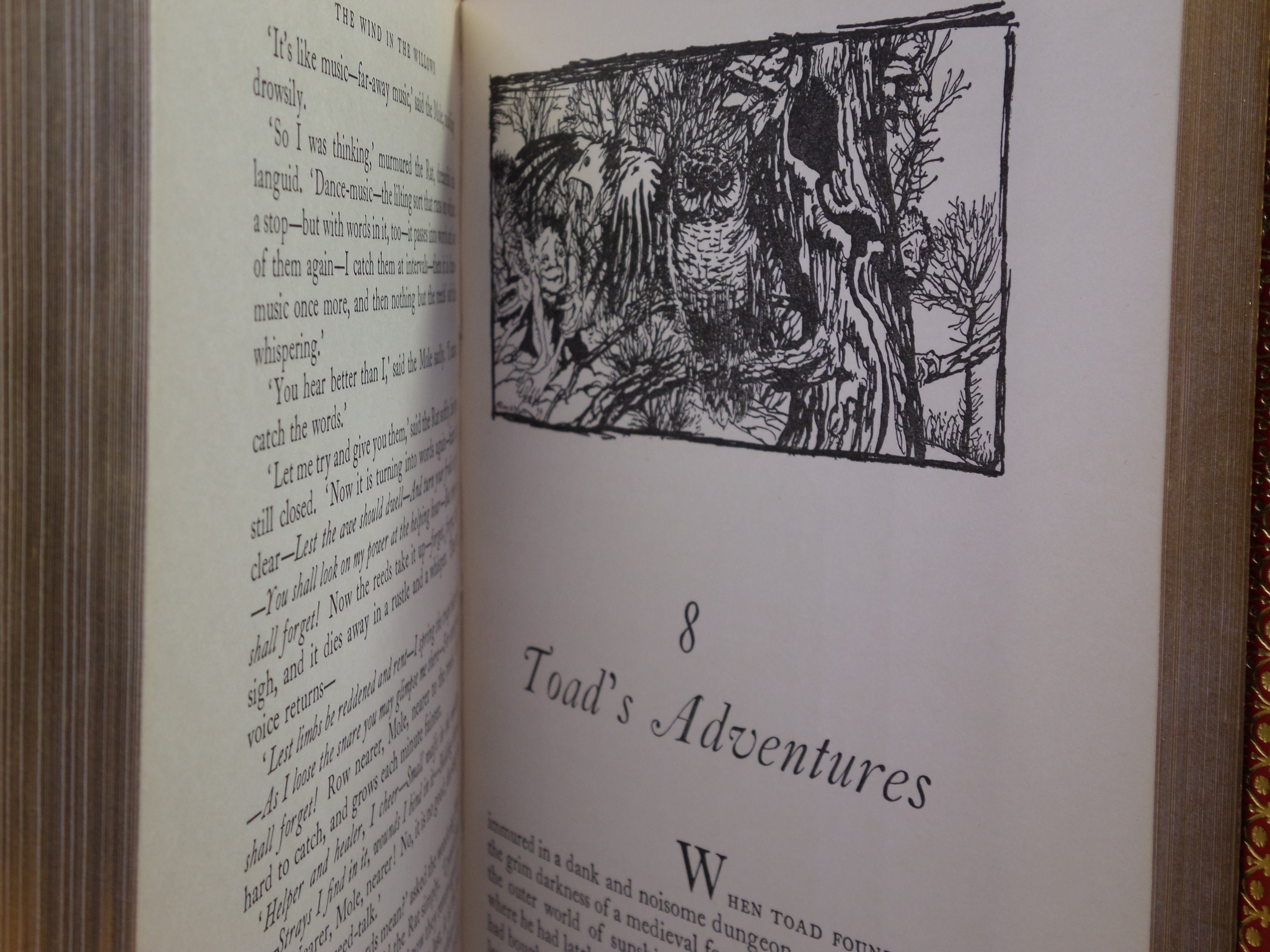 THE WIND IN THE WILLOWS BY KENNETH GRAHAME 1960 ARTHUR RACKHAM ILLUSTRATIONS