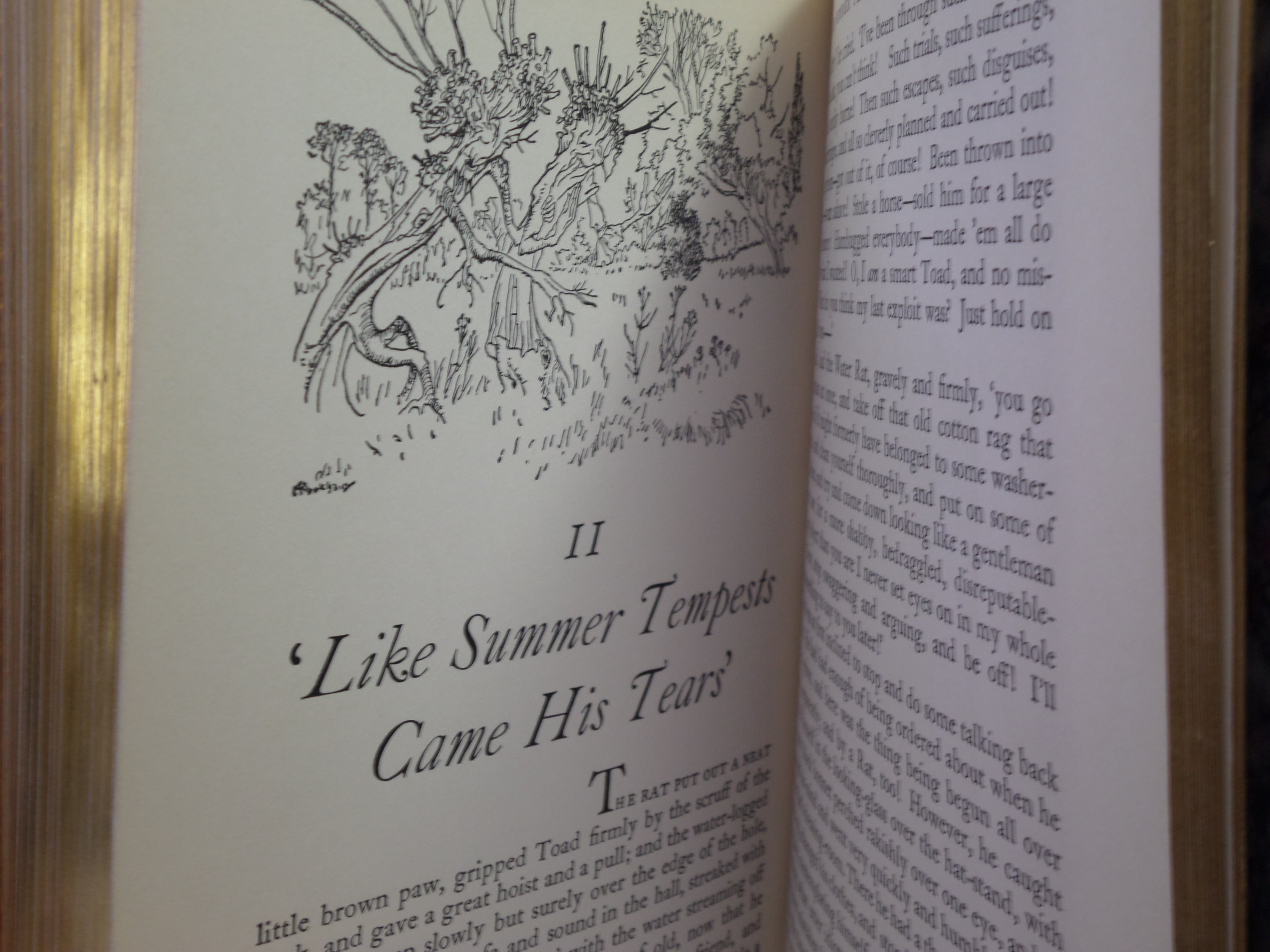 THE WIND IN THE WILLOWS BY KENNETH GRAHAME 1960 ARTHUR RACKHAM ILLUSTRATIONS