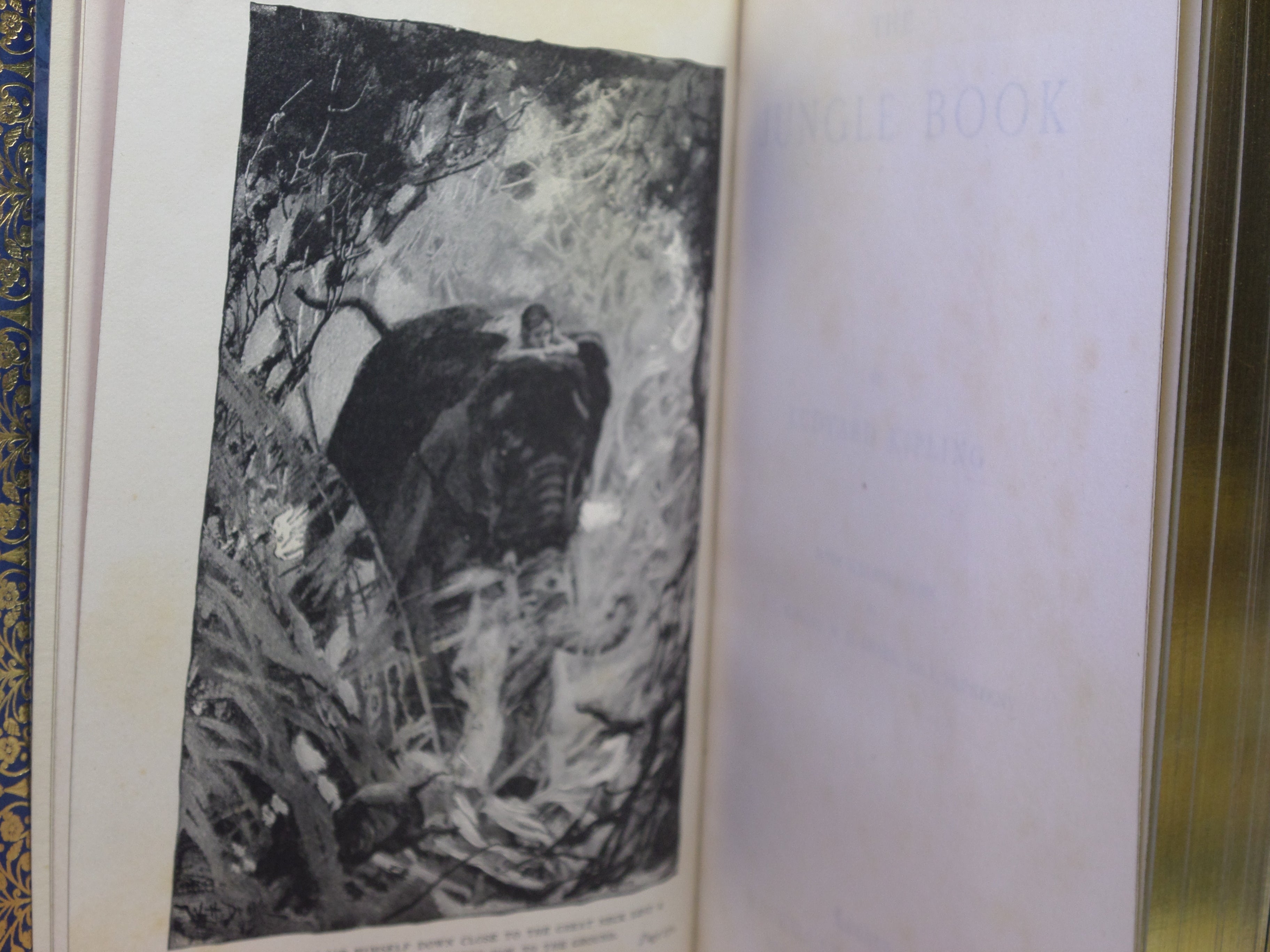 THE JUNGLE BOOK BY RUDYARD KIPLING 1897 BAYNTUN RIVIERE BINDING
