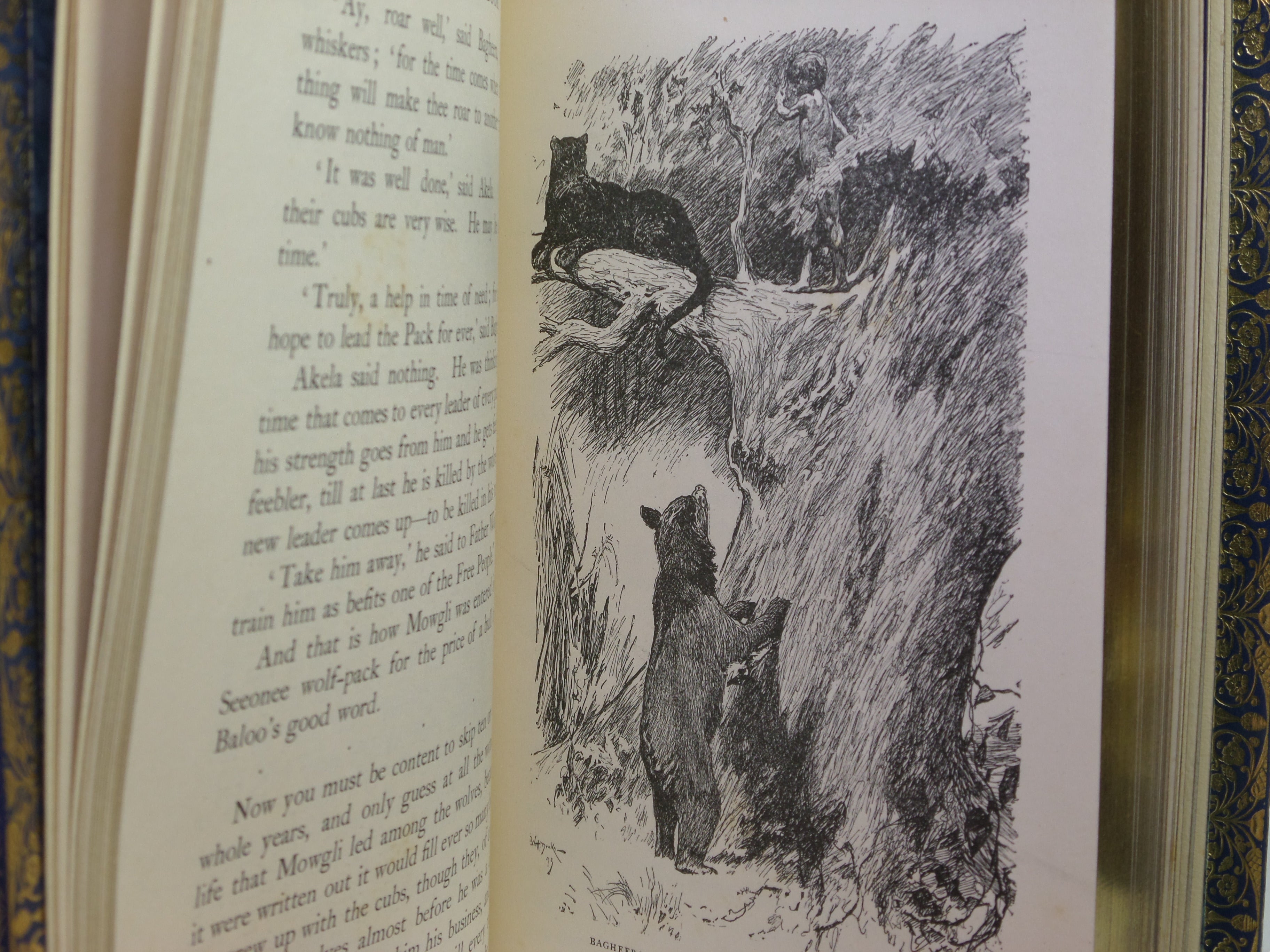 THE JUNGLE BOOK BY RUDYARD KIPLING 1897 BAYNTUN RIVIERE BINDING