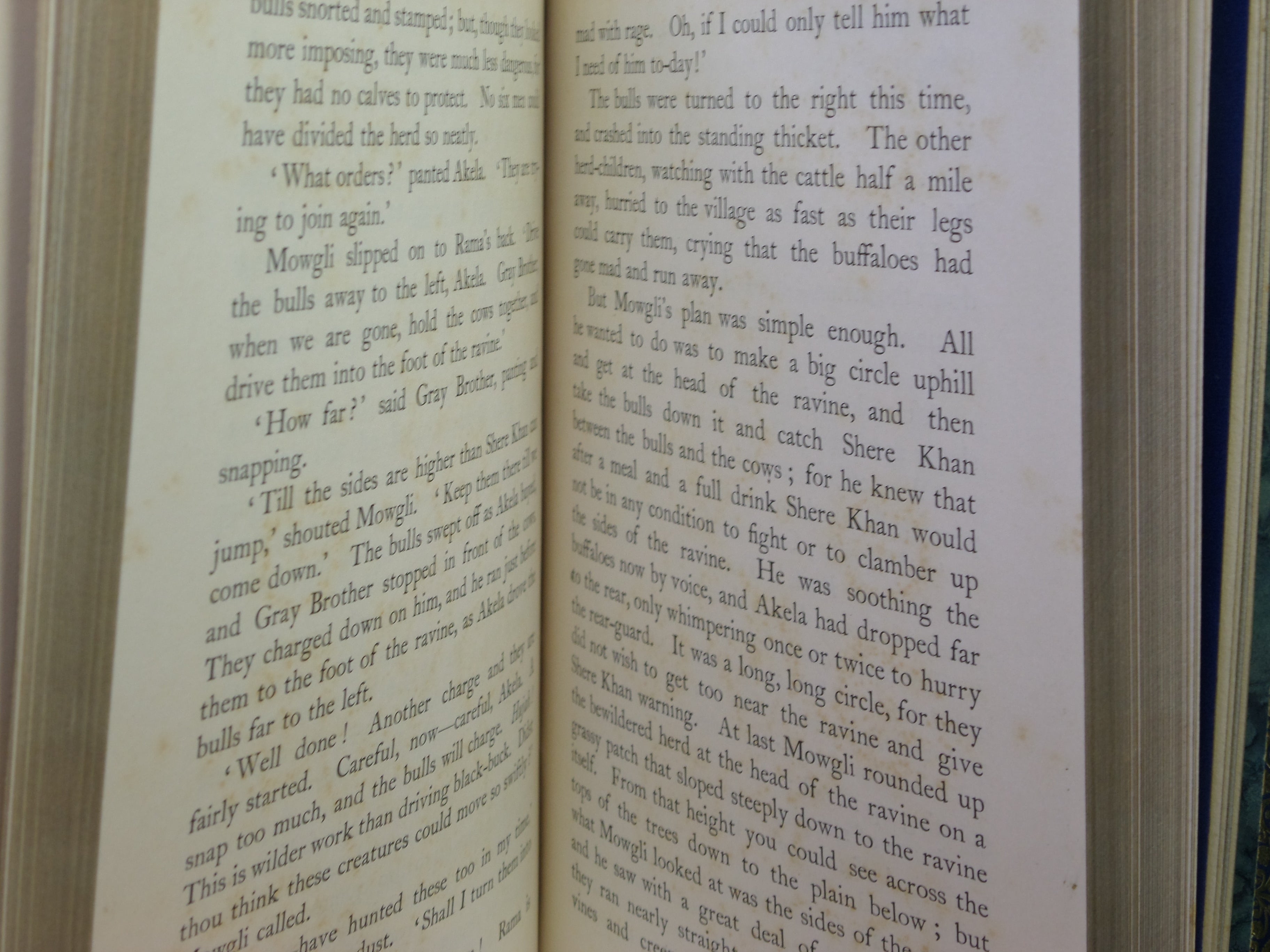 THE JUNGLE BOOK BY RUDYARD KIPLING 1897 BAYNTUN RIVIERE BINDING