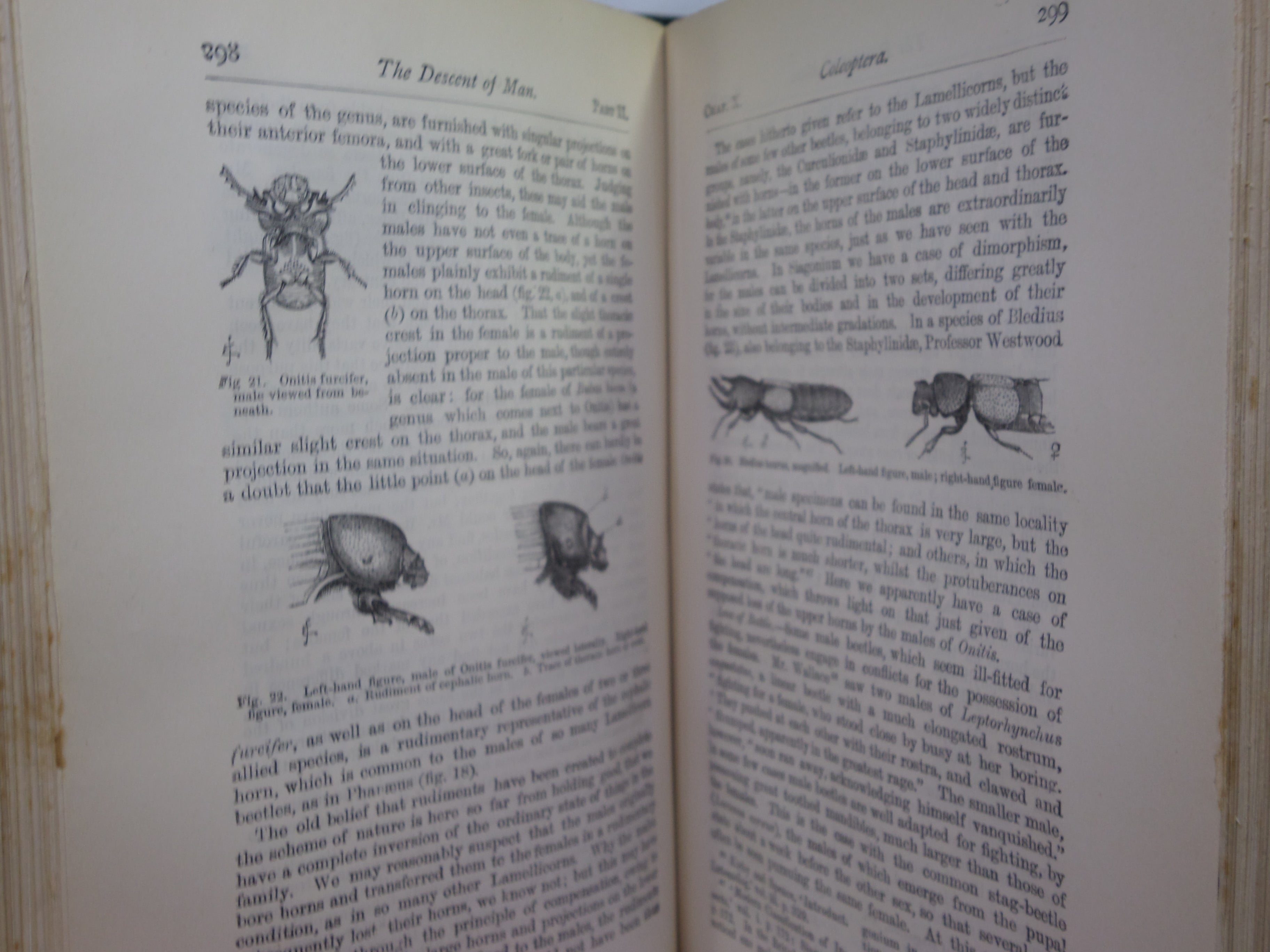 THE DESCENT OF MAN BY CHARLES DARWIN 1890
