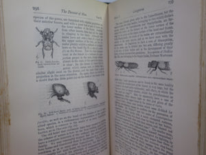 THE DESCENT OF MAN BY CHARLES DARWIN 1890