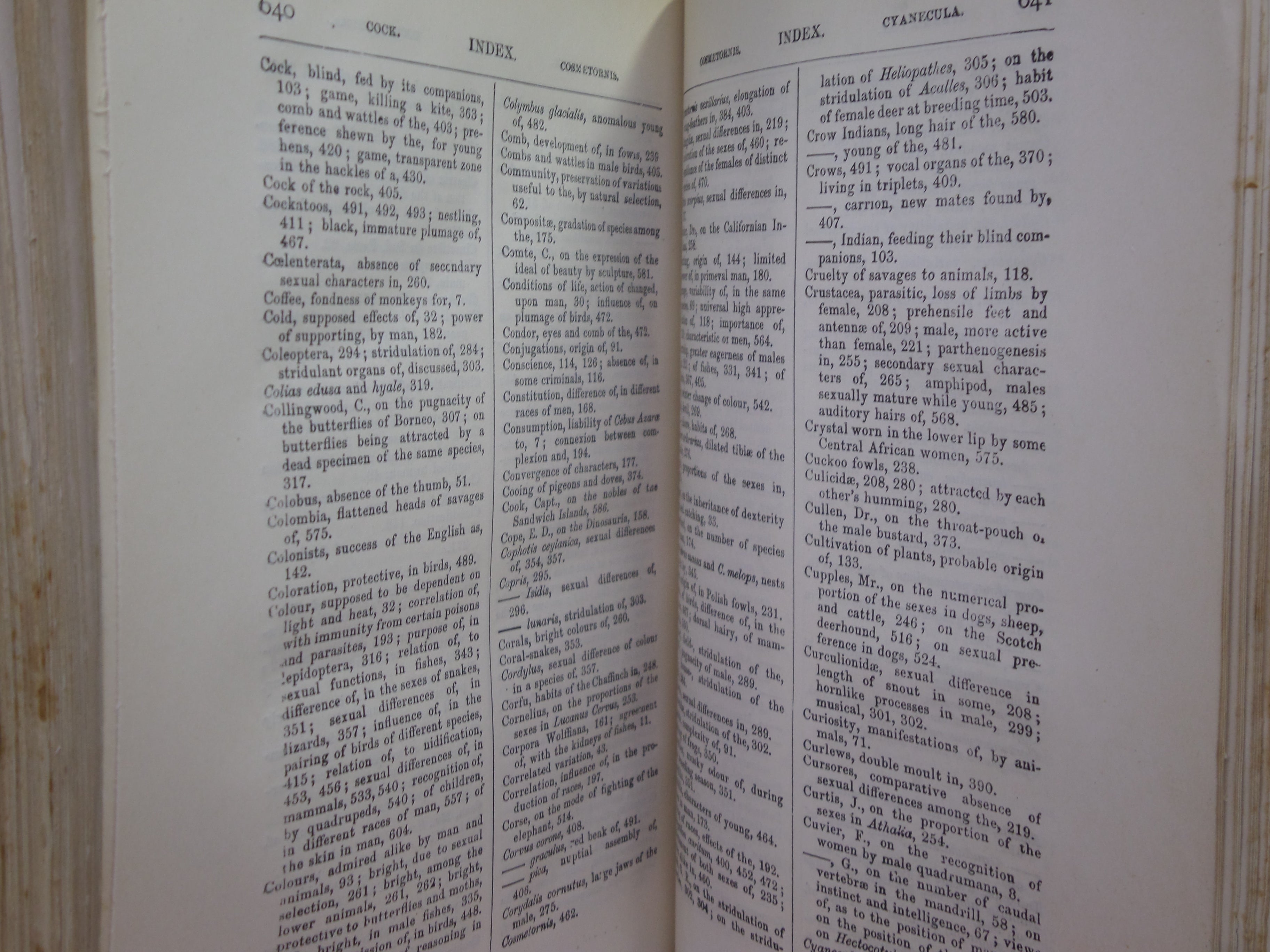 THE DESCENT OF MAN BY CHARLES DARWIN 1890