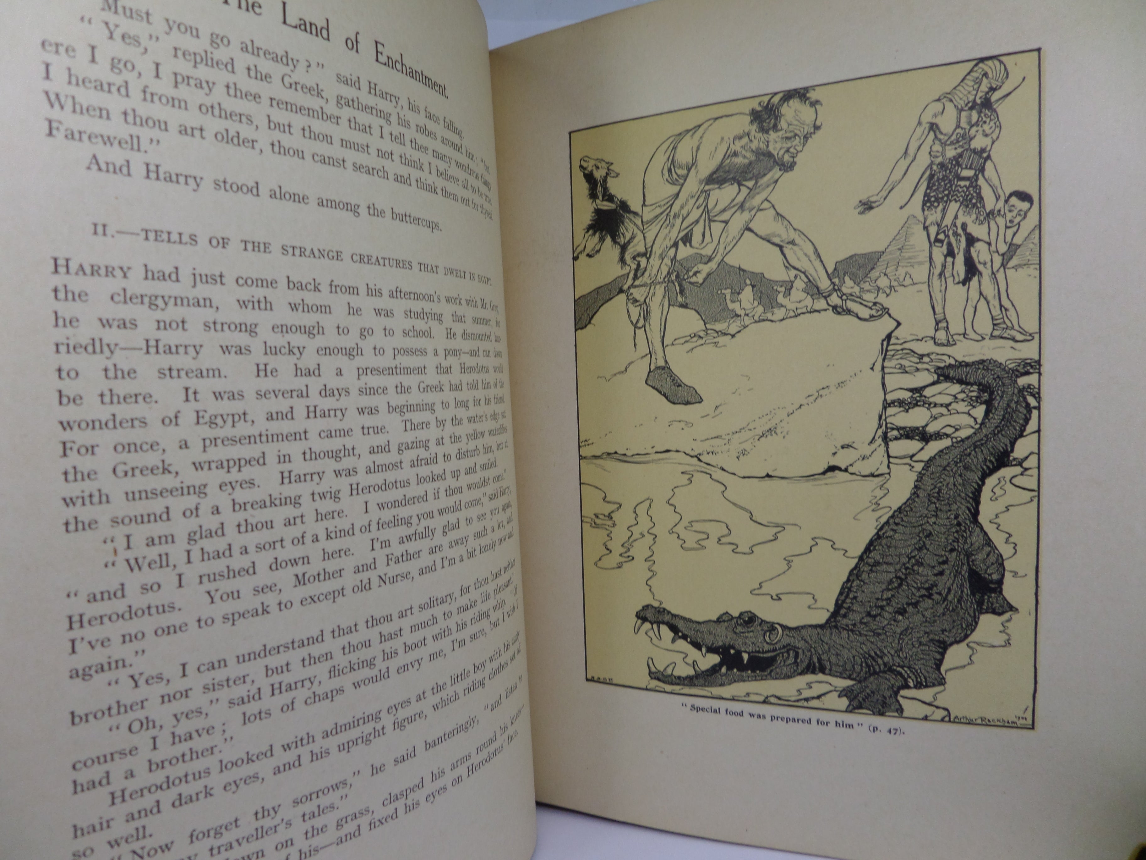 THE LAND OF ENCHANTMENT ILLUSTRATED BY ARTHUR RACKHAM 1907