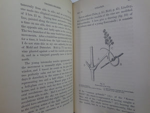 THE MOVEMENTS AND HABITS OF CLIMBING PLANTS BY CHARLES DARWIN 1875