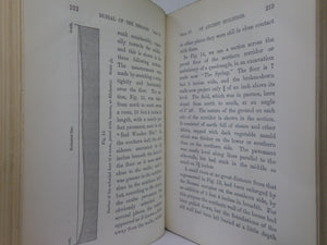 THE FORMATION OF VEGETABLE MOULD THROUGH THE ACTION OF WORMS 1881 CHARLES DARWIN