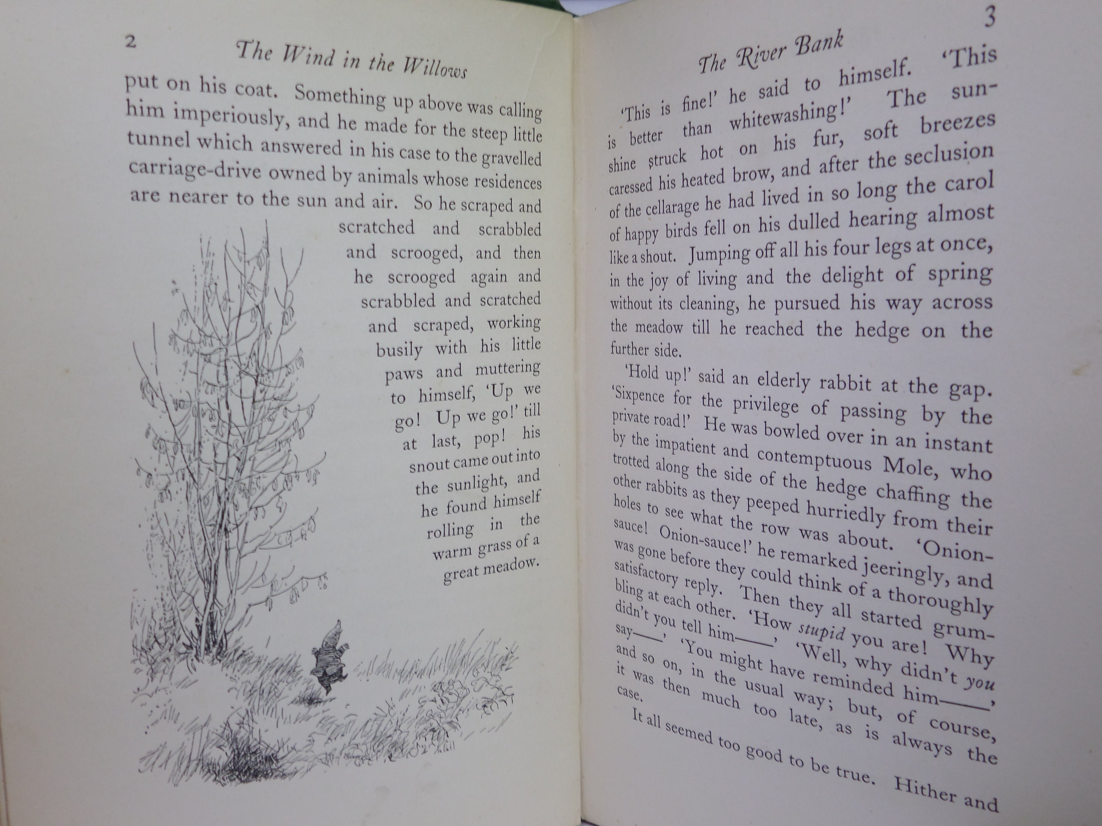 THE WIND IN THE WILLOWS BY KENNETH GRAHAME 1931 FIRST SHEPARD EDITION