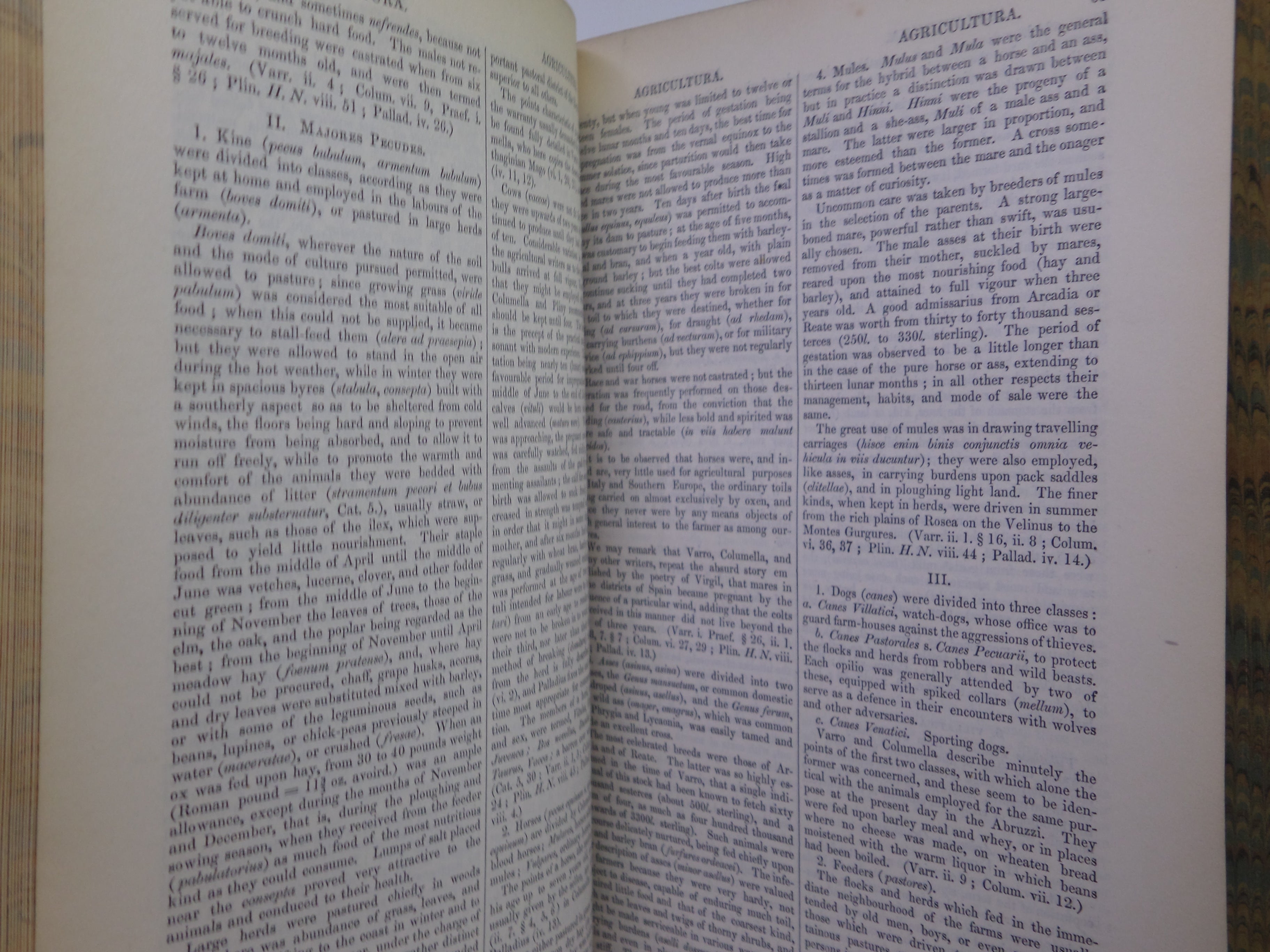 DICTIONARY OF GREEK AND ROMAN ANTIQUITIES BY WILLIAM SMITH 1859 LEATHER BINDING