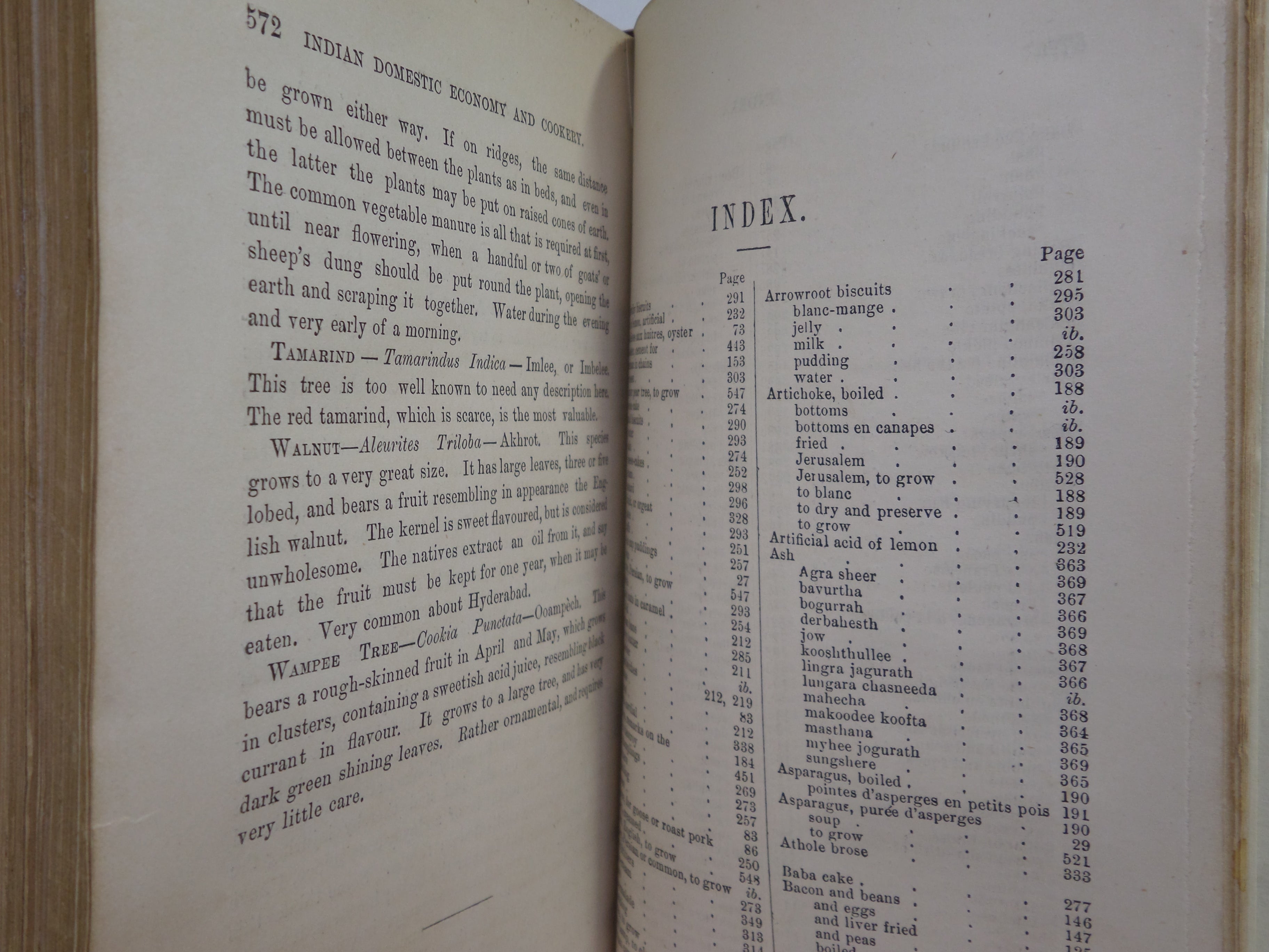 [COOKERY] INDIAN DOMESTIC ECONOMY AND RECEIPT BOOK BY ROBERT RIDDELL 1877