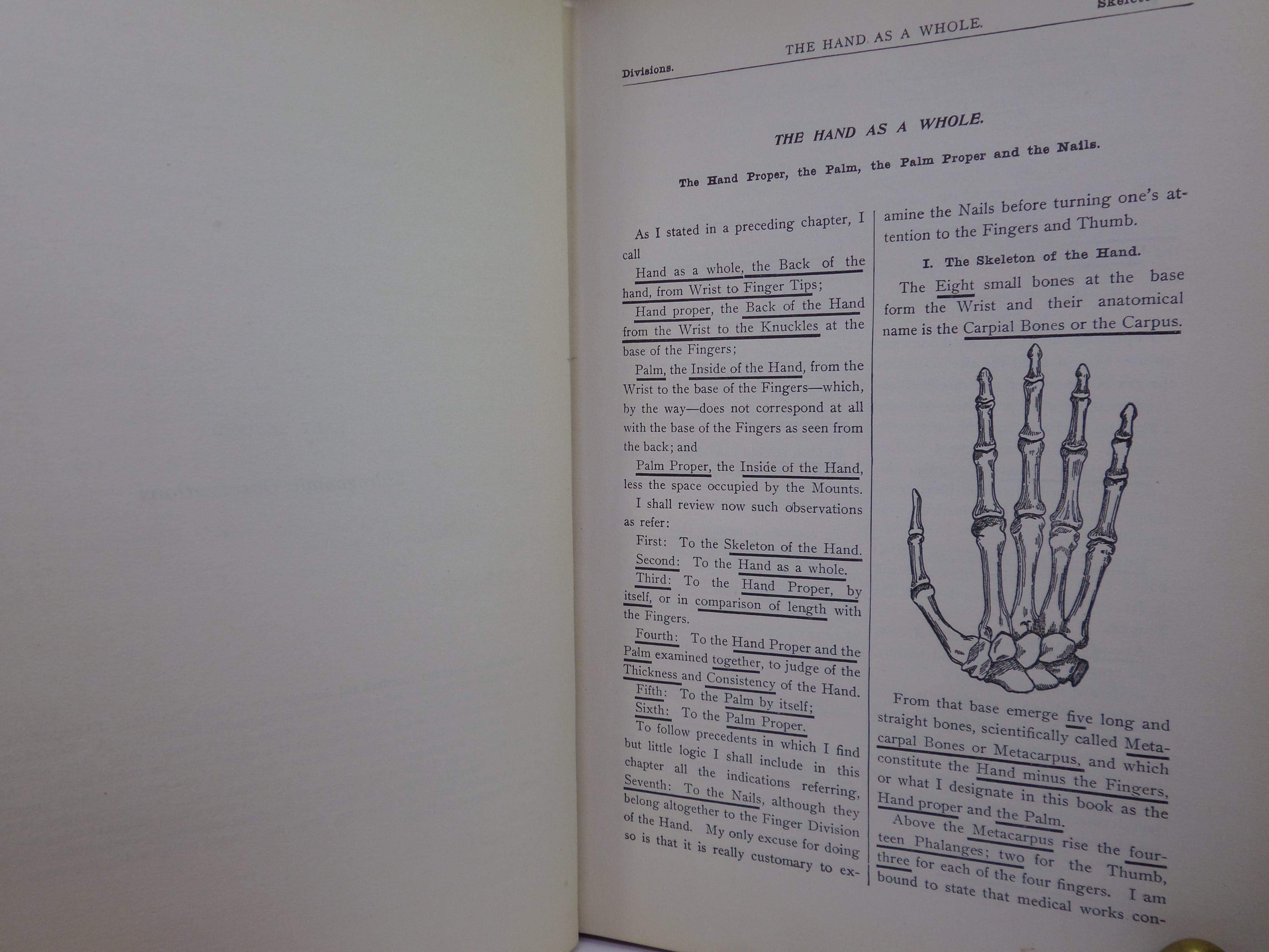 THE STUDY OF PALMISTRY FOR PROFESSIONAL PURPOSES BY COMTE C. DE SAINT-GERMAIN