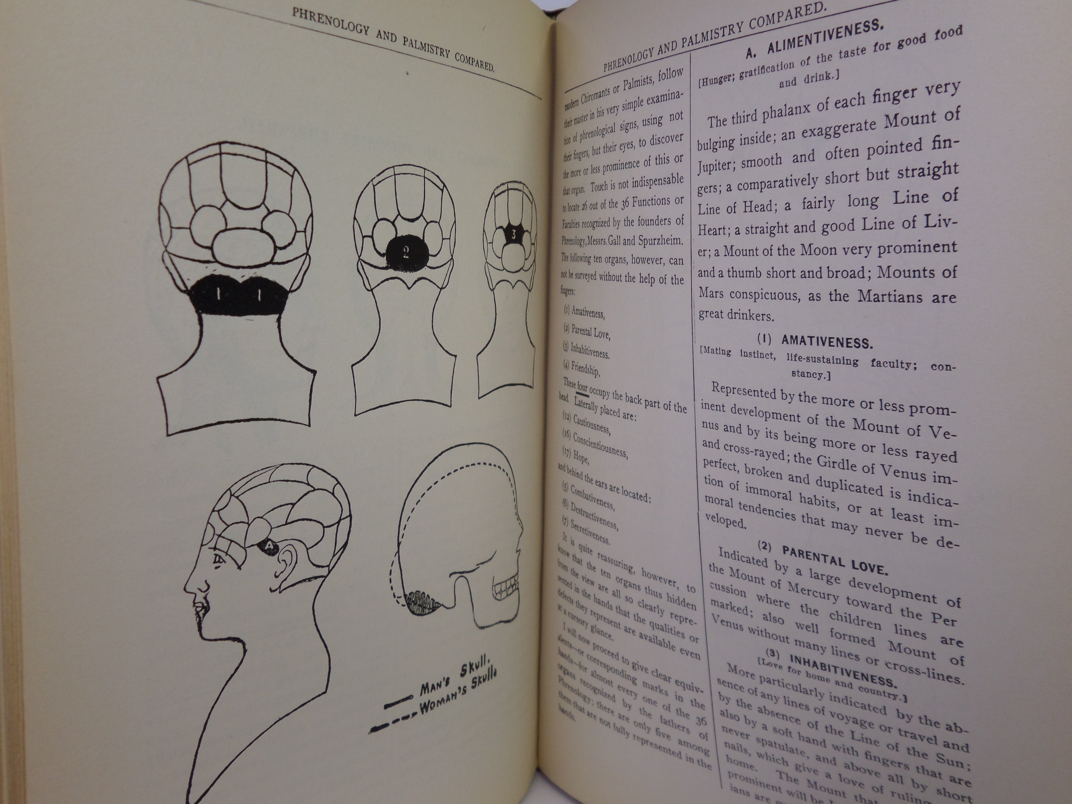THE STUDY OF PALMISTRY FOR PROFESSIONAL PURPOSES BY COMTE C. DE SAINT-GERMAIN