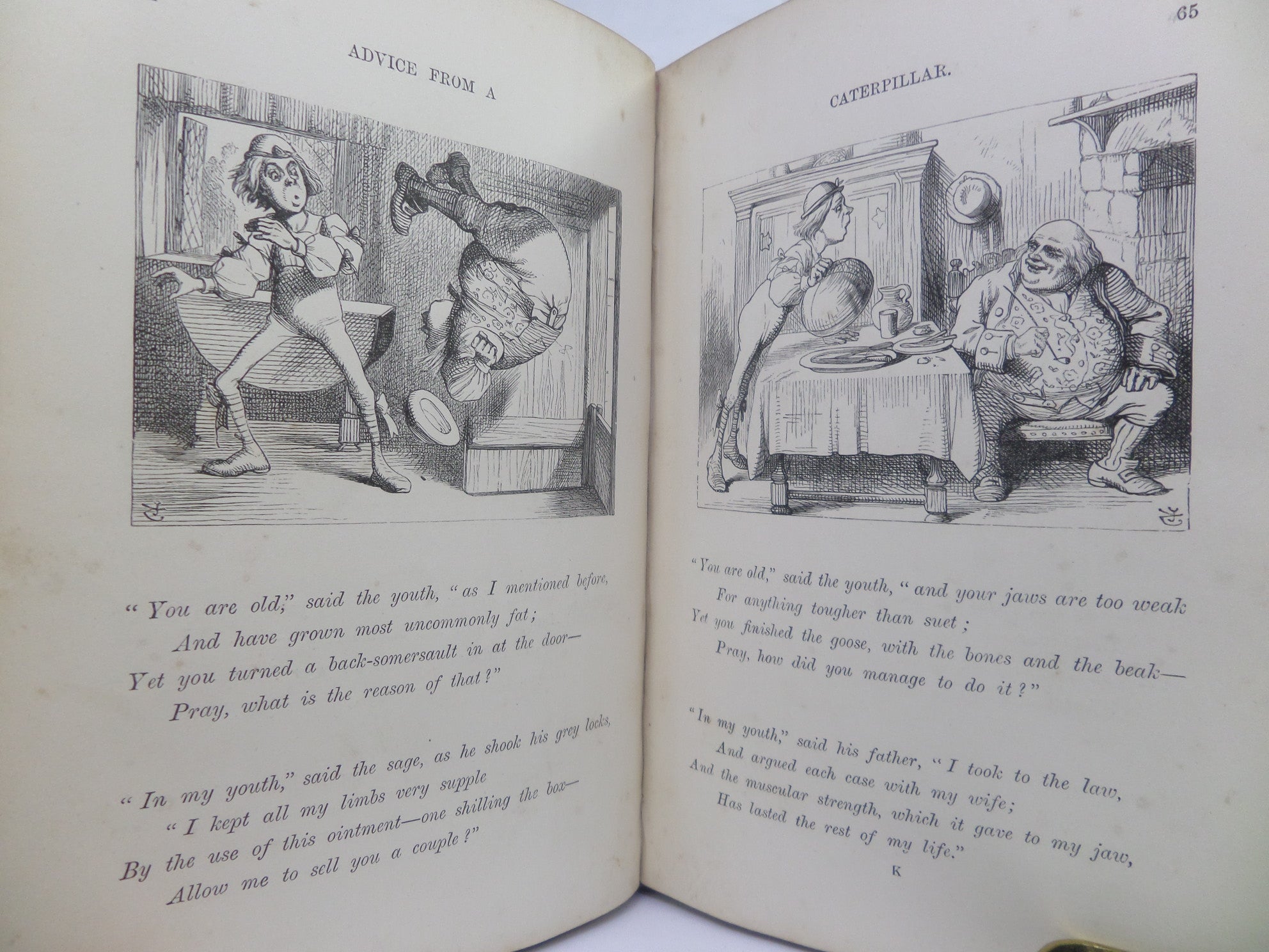 ALICE'S ADVENTURES IN WONDERLAND BY LEWIS CARROLL 1881
