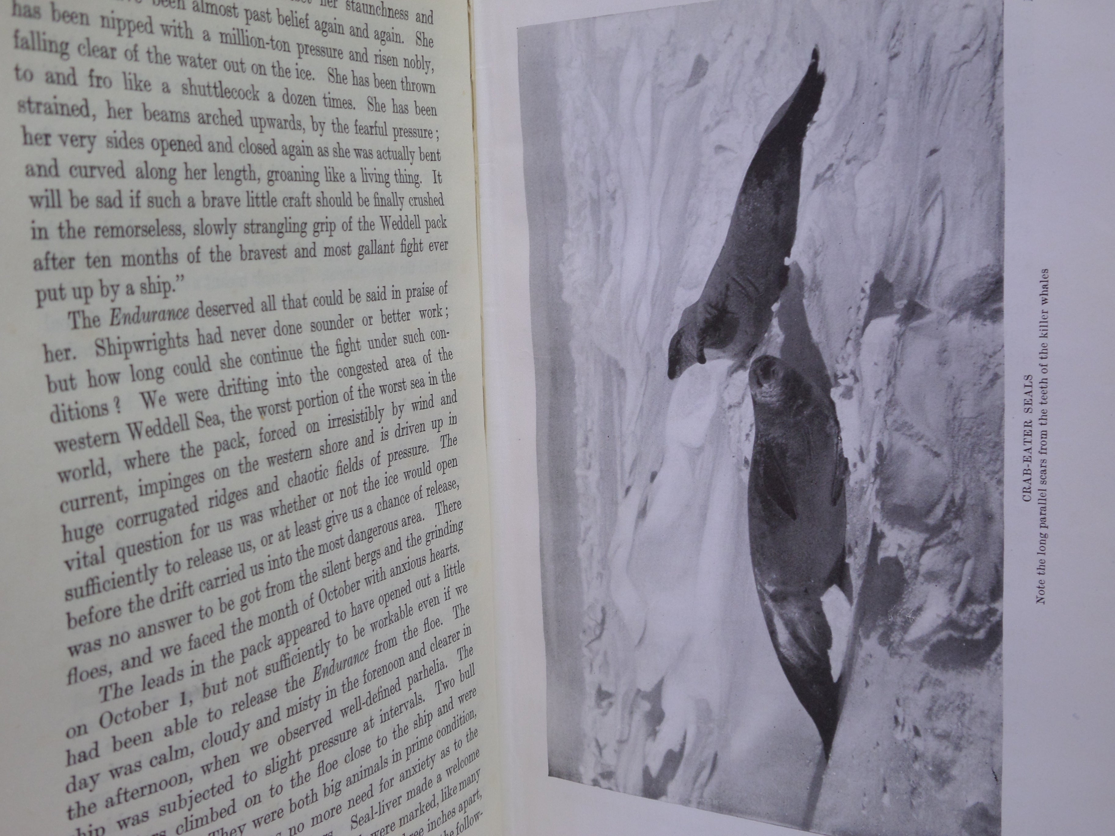 SOUTH: THE STORY OF SHACKLETON'S LAST EXPEDITION 1914-1917 BY ERNEST SHACKLETON 1920