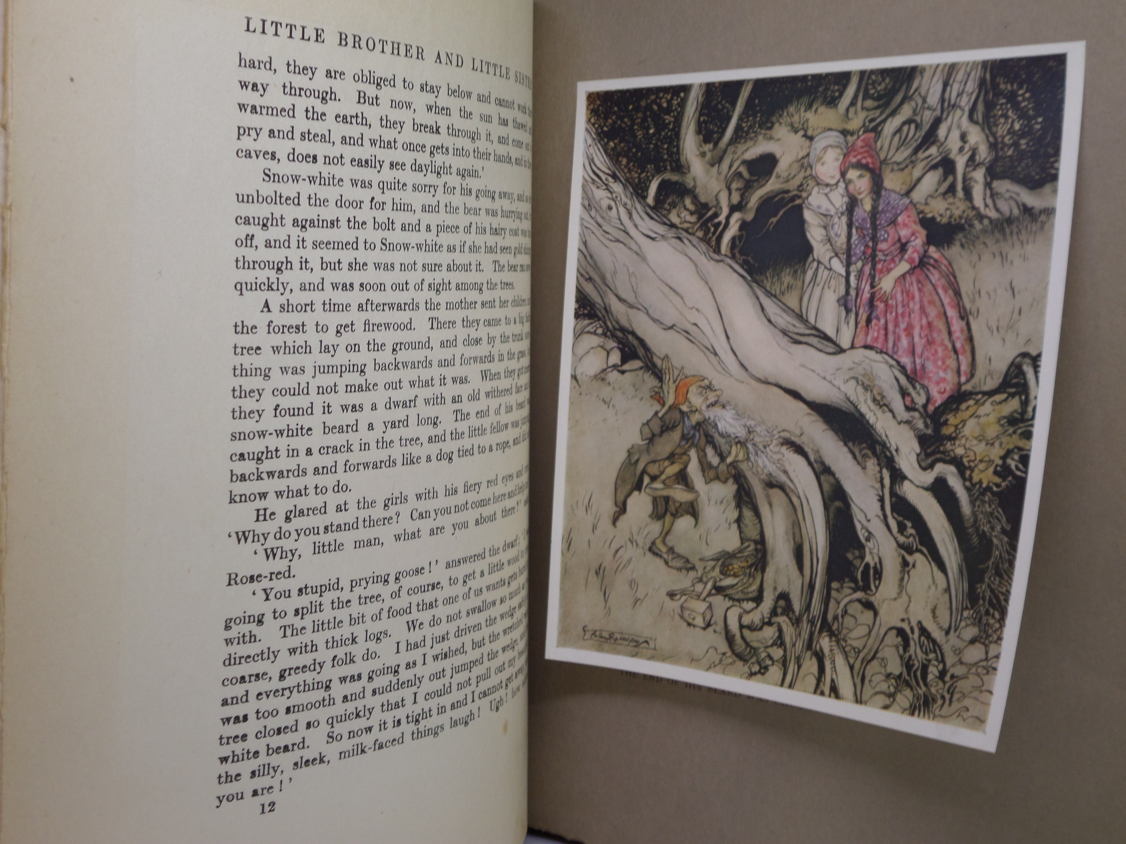 LITTLE BROTHER & LITTLE SISTER 1917 BROTHERS GRIMM, ARTHUR RACKHAM FIRST EDITION