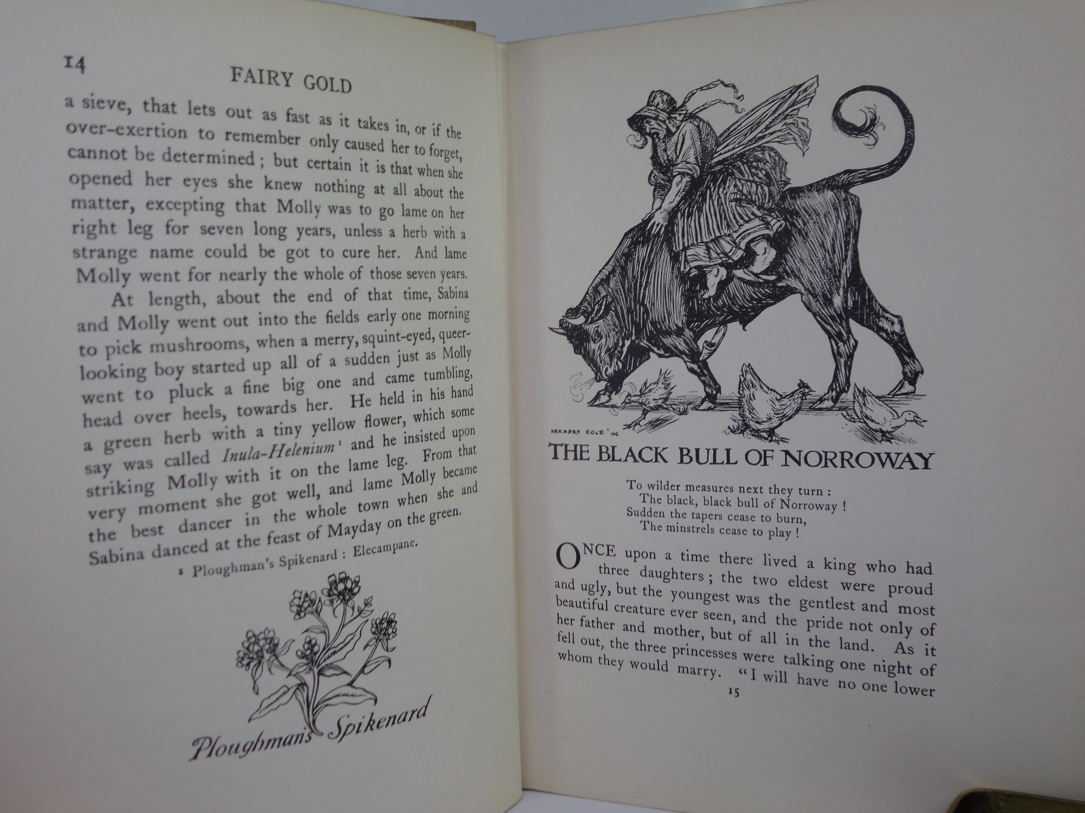 FAIRY-GOLD: A BOOK OF OLD ENGLISH FAIRY TALES CHOSEN BY ERNEST RHYS 1911