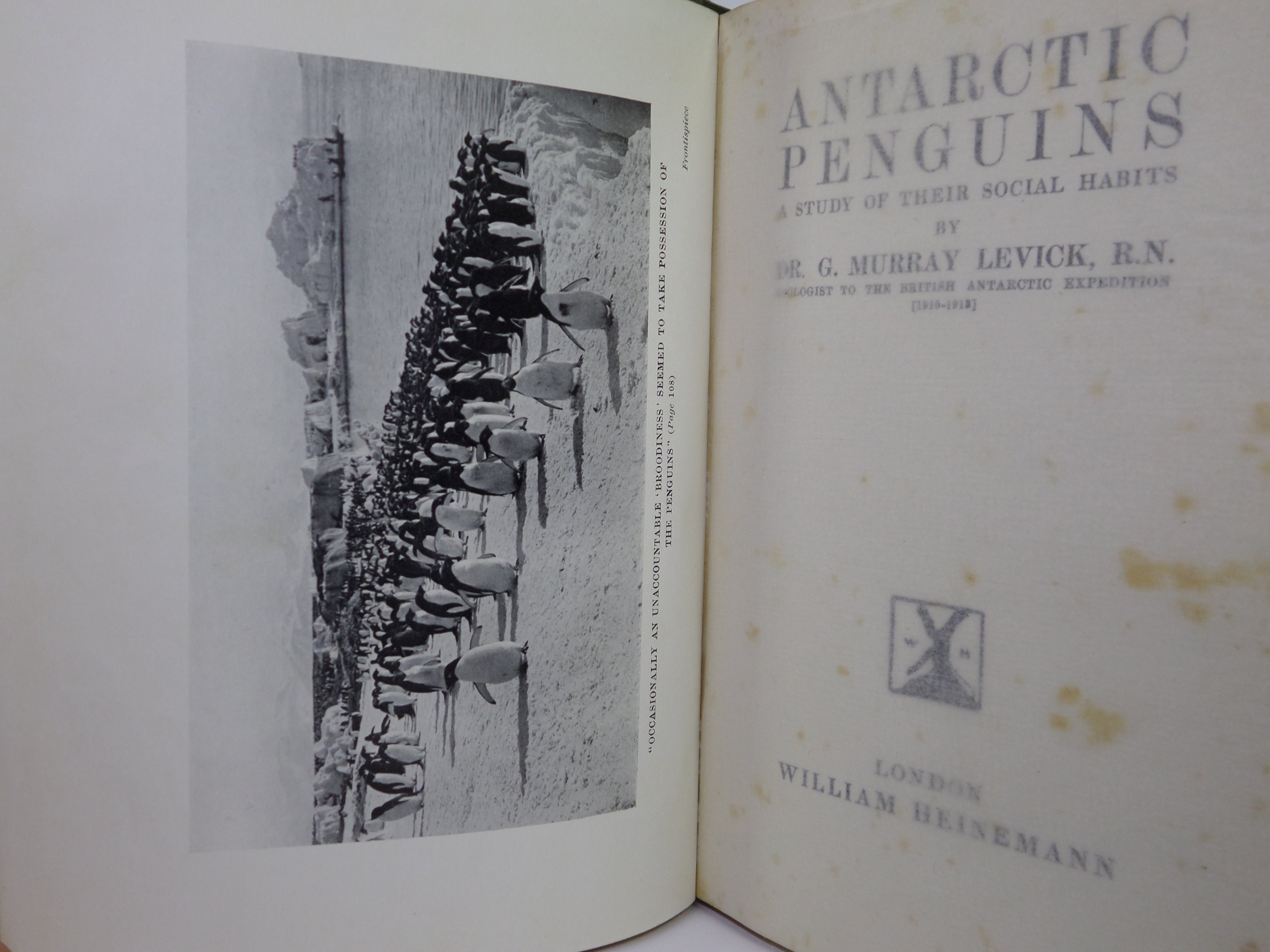 ANTARCTIC PENGUINS BY DR G. MURRAY LEVICK 1914 FIRST EDITION