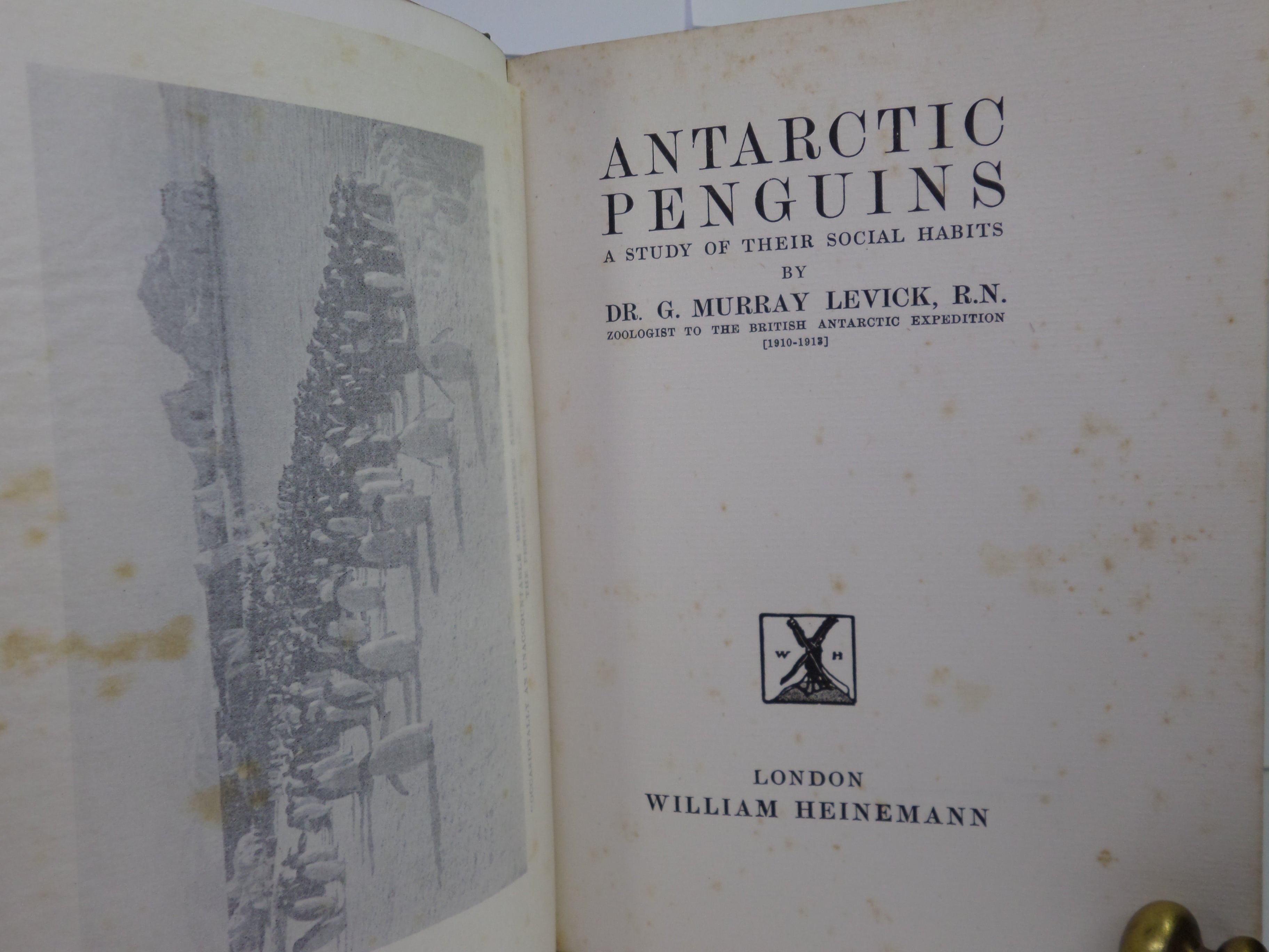 ANTARCTIC PENGUINS BY DR G. MURRAY LEVICK 1914 FIRST EDITION