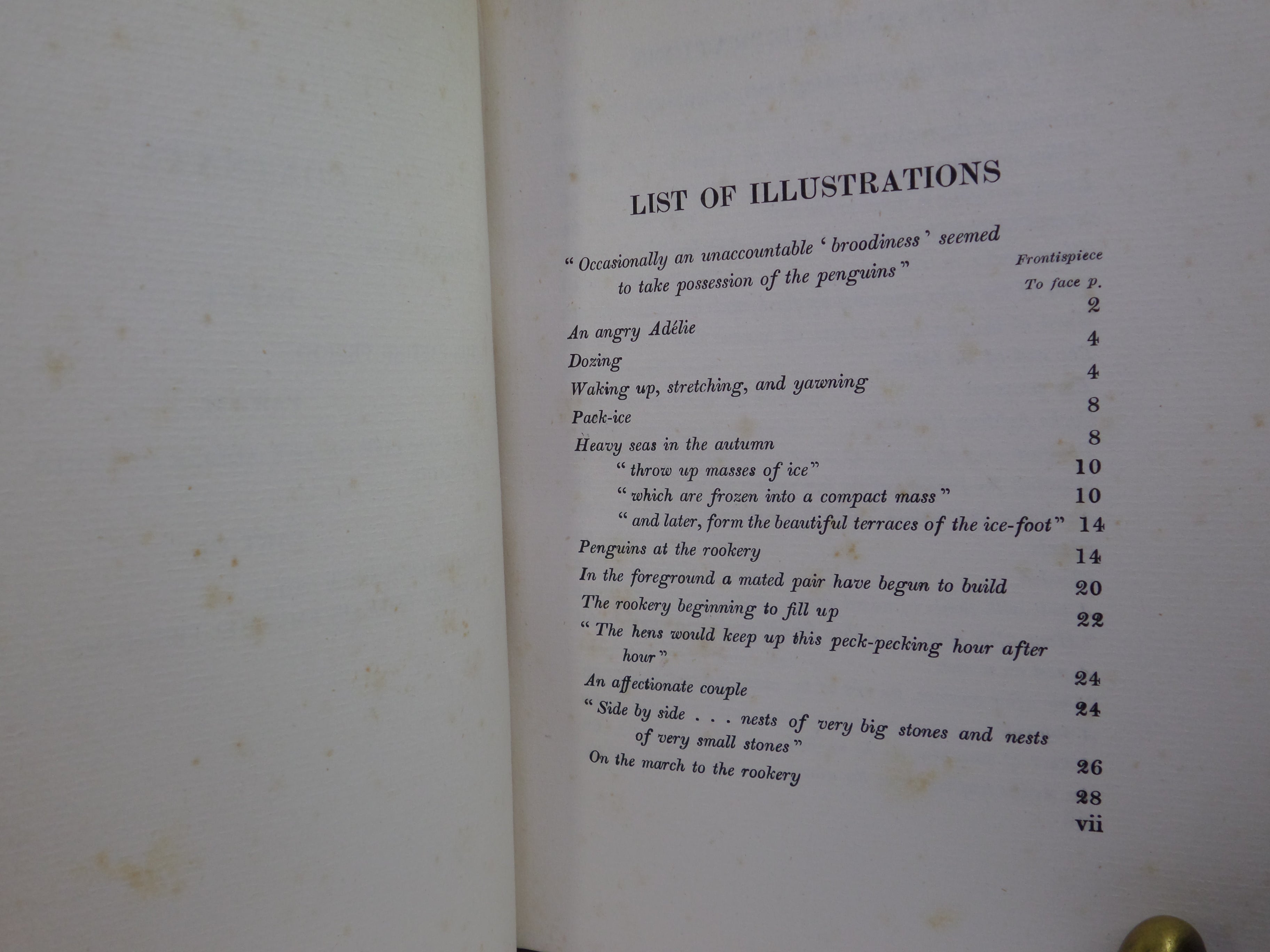 ANTARCTIC PENGUINS BY DR G. MURRAY LEVICK 1914 FIRST EDITION