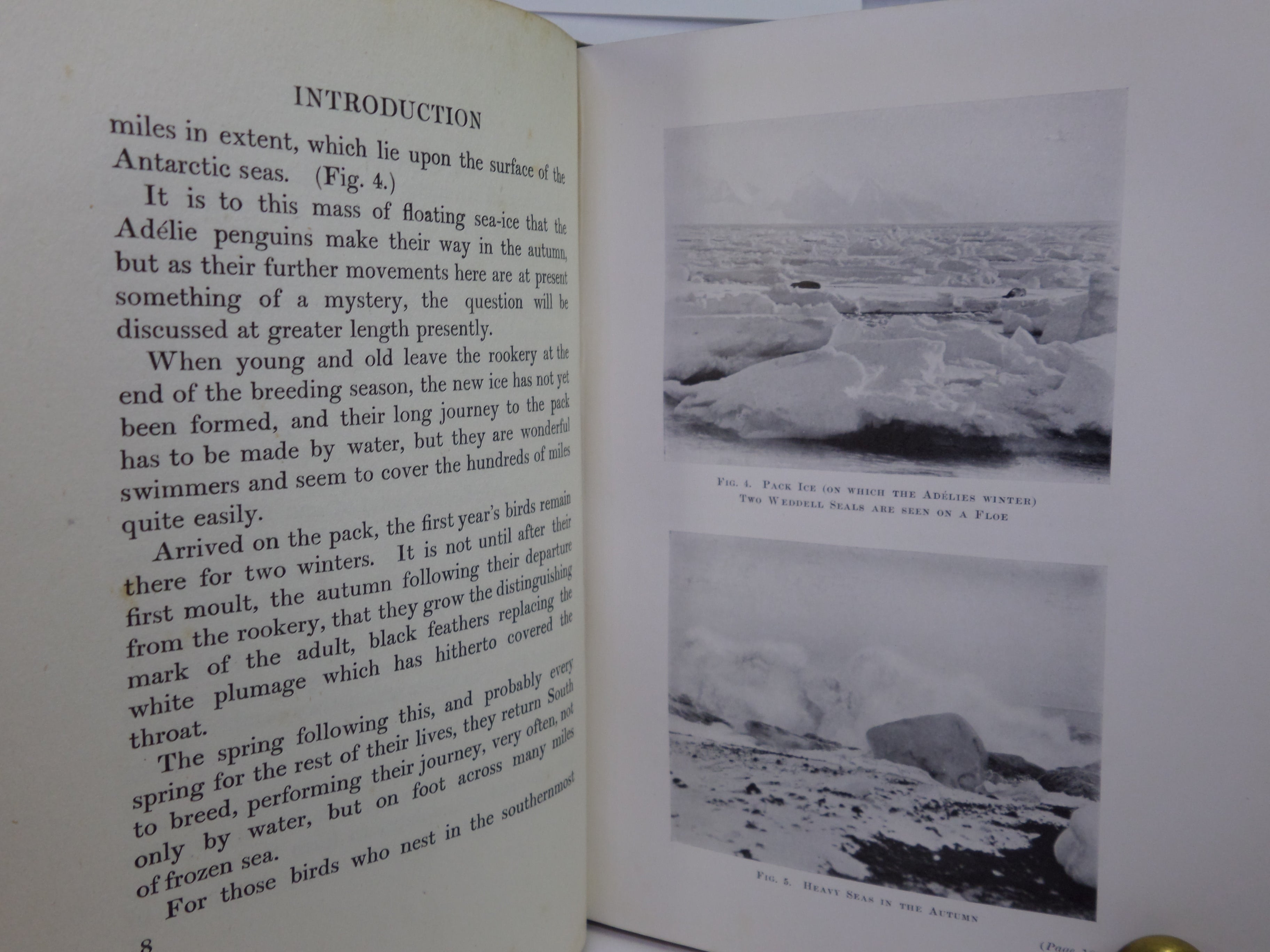 ANTARCTIC PENGUINS BY DR G. MURRAY LEVICK 1914 FIRST EDITION