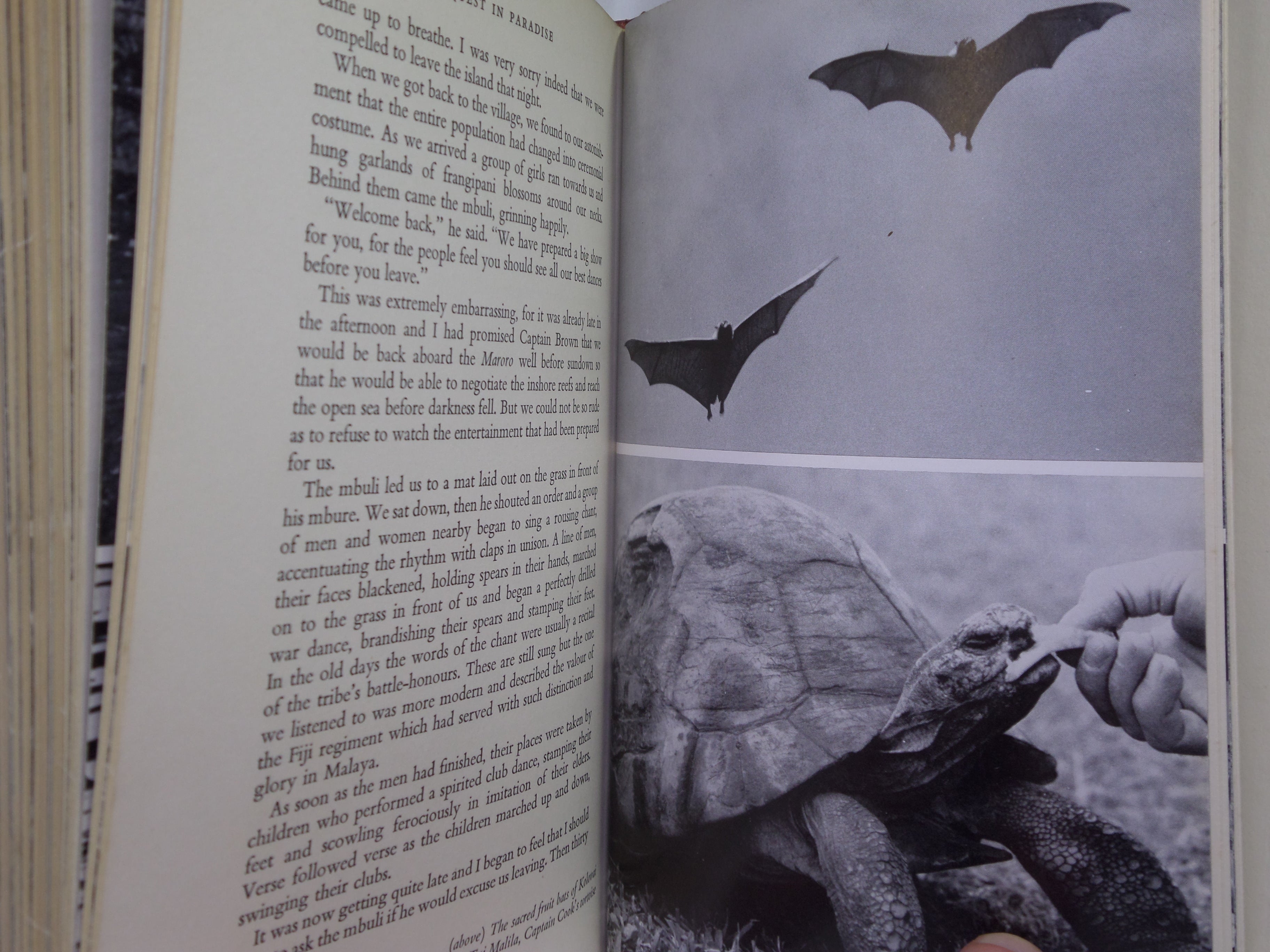 QUEST IN PARADISE BY DAVID ATTENBOROUGH 1960 SIGNED FIRST EDITION
