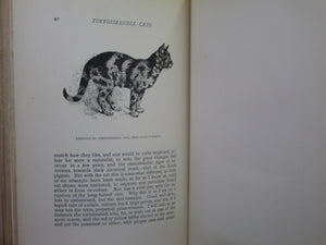 OUR CATS AND ALL ABOUT THEM BY HARRISON WEIR 1889 FIRST EDITION