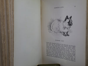 OUR CATS AND ALL ABOUT THEM BY HARRISON WEIR 1889 FIRST EDITION