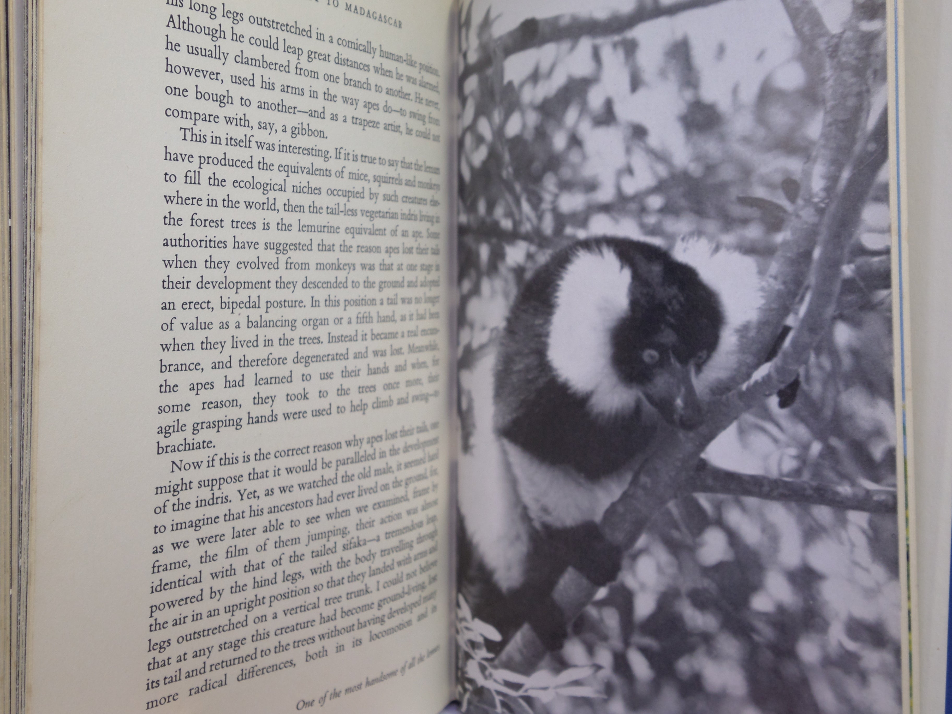 ZOO QUEST TO MADAGASCAR BY DAVID ATTENBOROUGH 1961 SIGNED FIRST EDITION