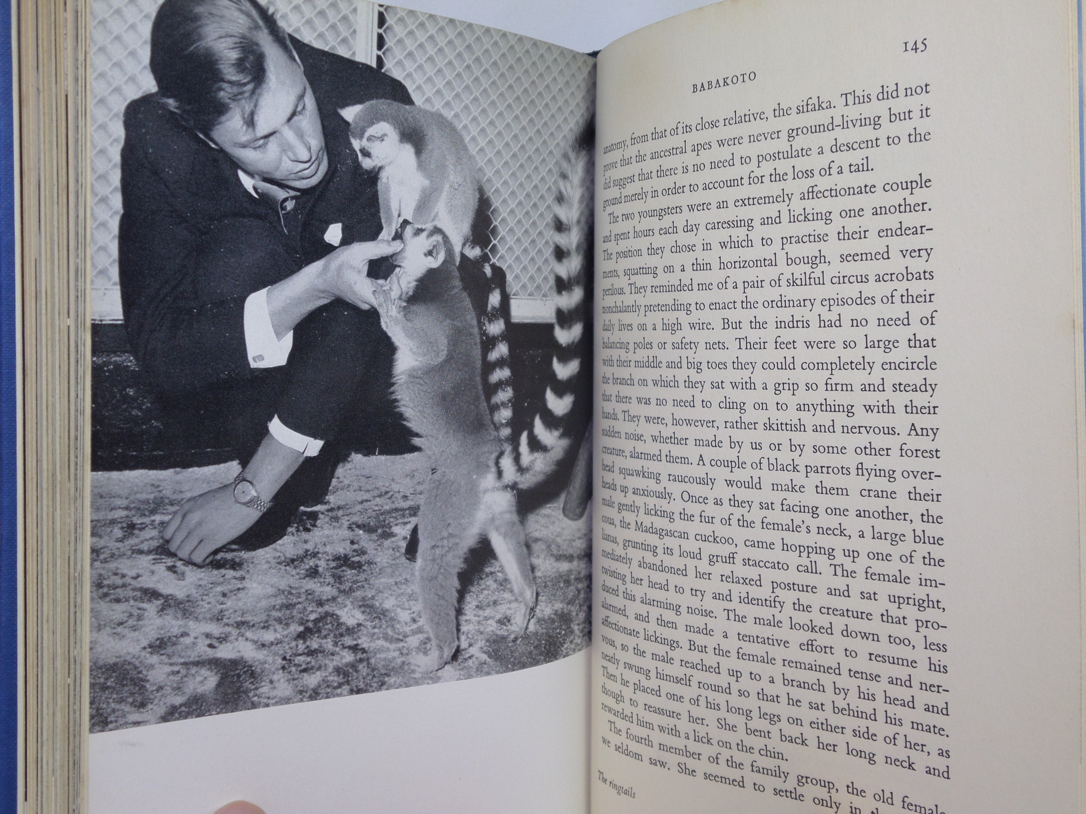 ZOO QUEST TO MADAGASCAR BY DAVID ATTENBOROUGH 1961 SIGNED FIRST EDITION