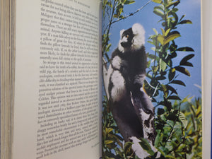 ZOO QUEST TO MADAGASCAR BY DAVID ATTENBOROUGH 1961 SIGNED FIRST EDITION