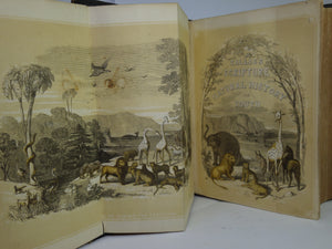 THE NATURAL HISTORY OF THE SACRED SCRIPTURES AND GUIDE TO GENERAL ZOOLOGY BY W. I. BICKNELL C. 1860