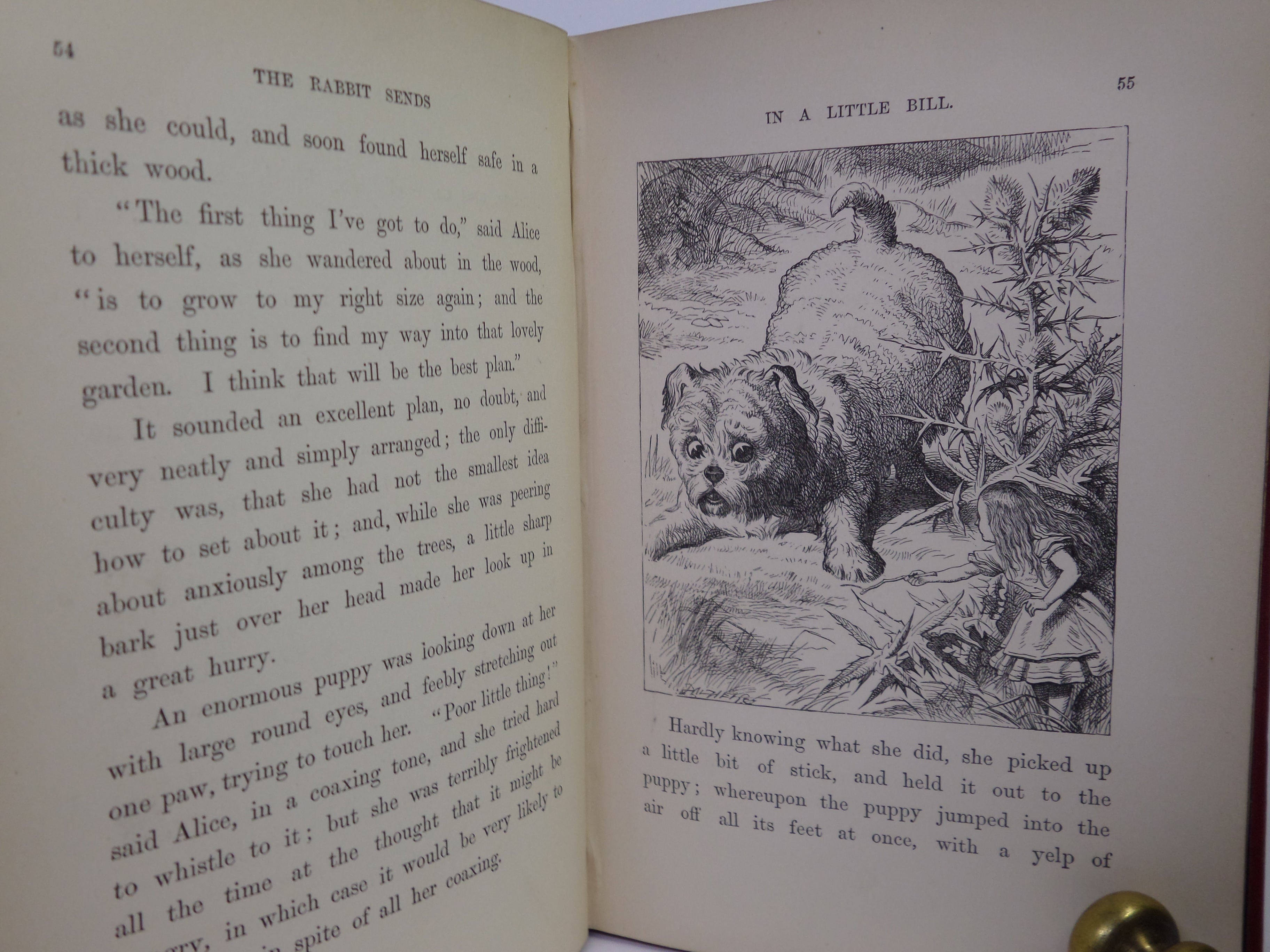 ALICE'S ADVENTURES IN WONDERLAND BY LEWIS CARROLL 1892