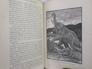 THE RED BOOK OF ANIMAL STORIES BY ANDREW LANG 1899 FIRST EDITION