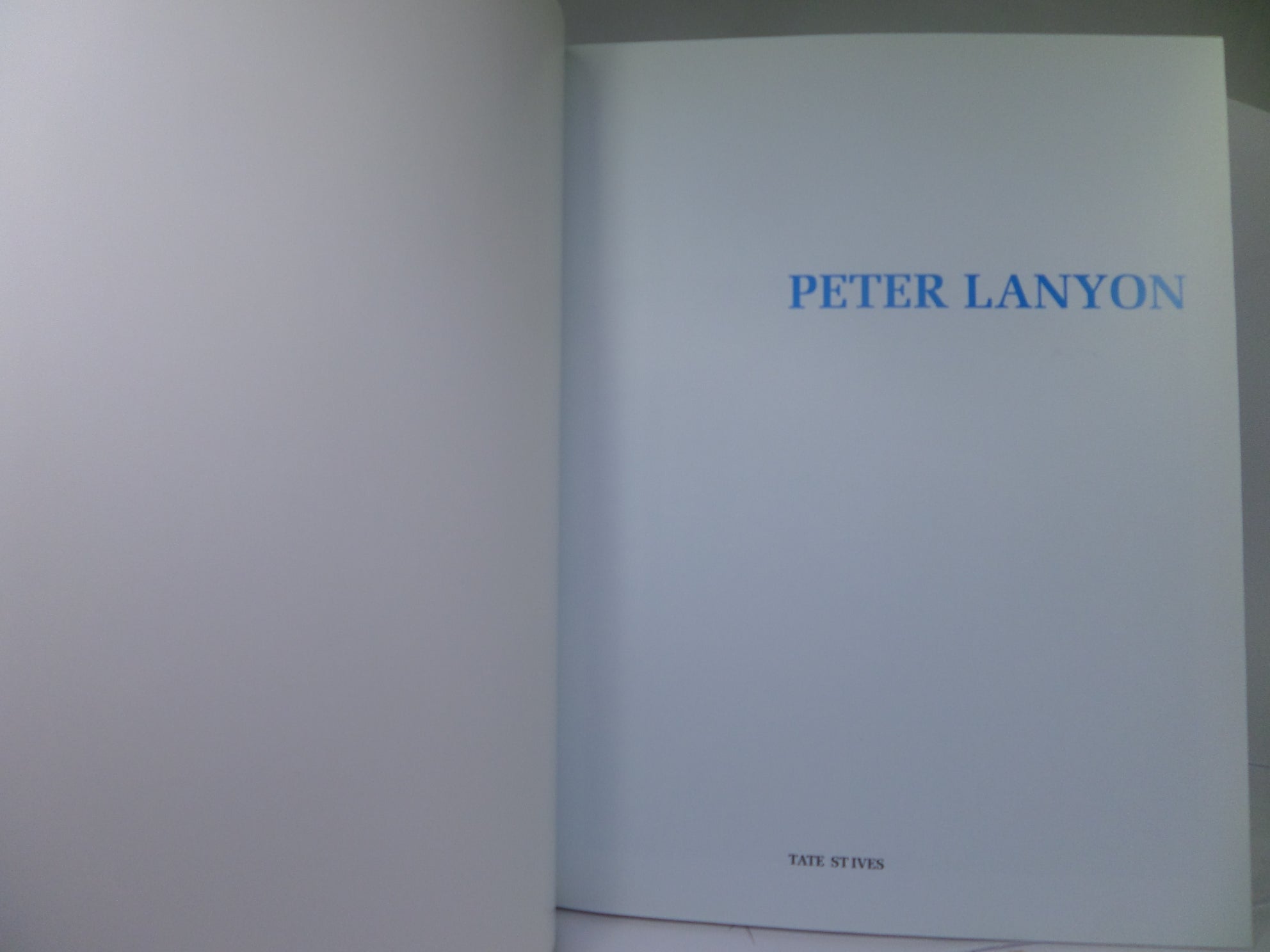 PETER LANYON BY CHRIS STEPHENS 2010